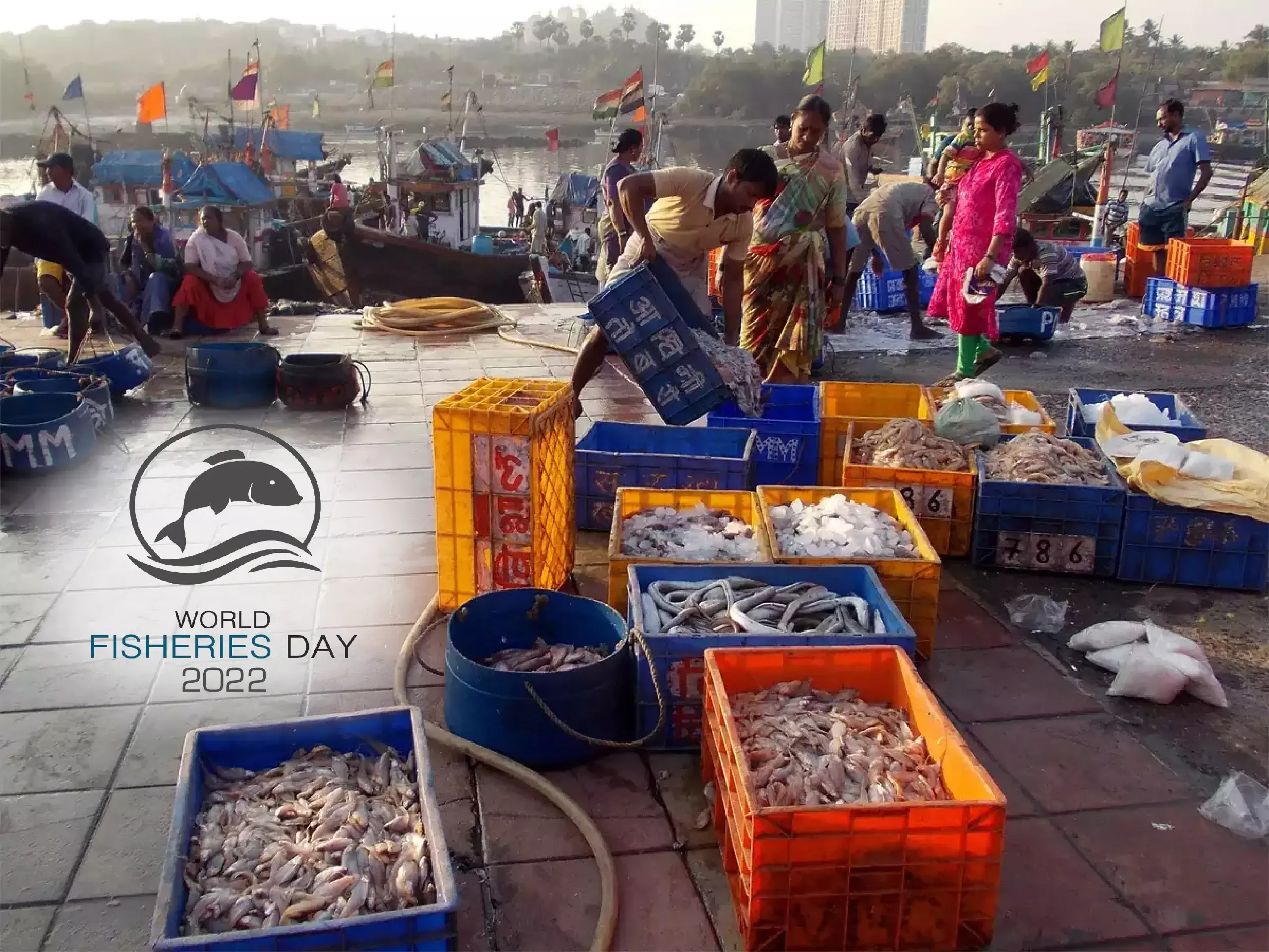 seafood industry in india seafood industry in india