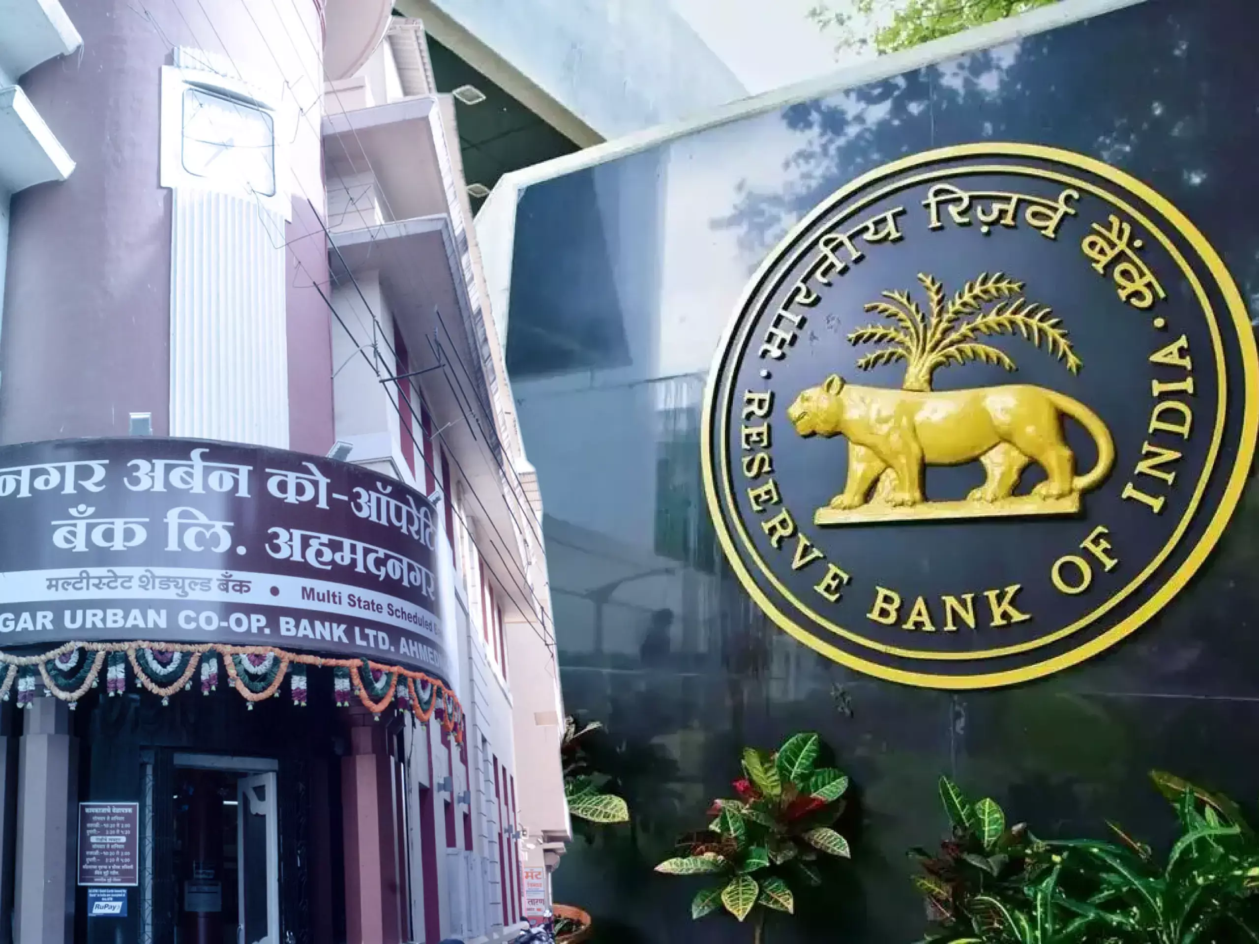 rbi urban cooperative bank divide