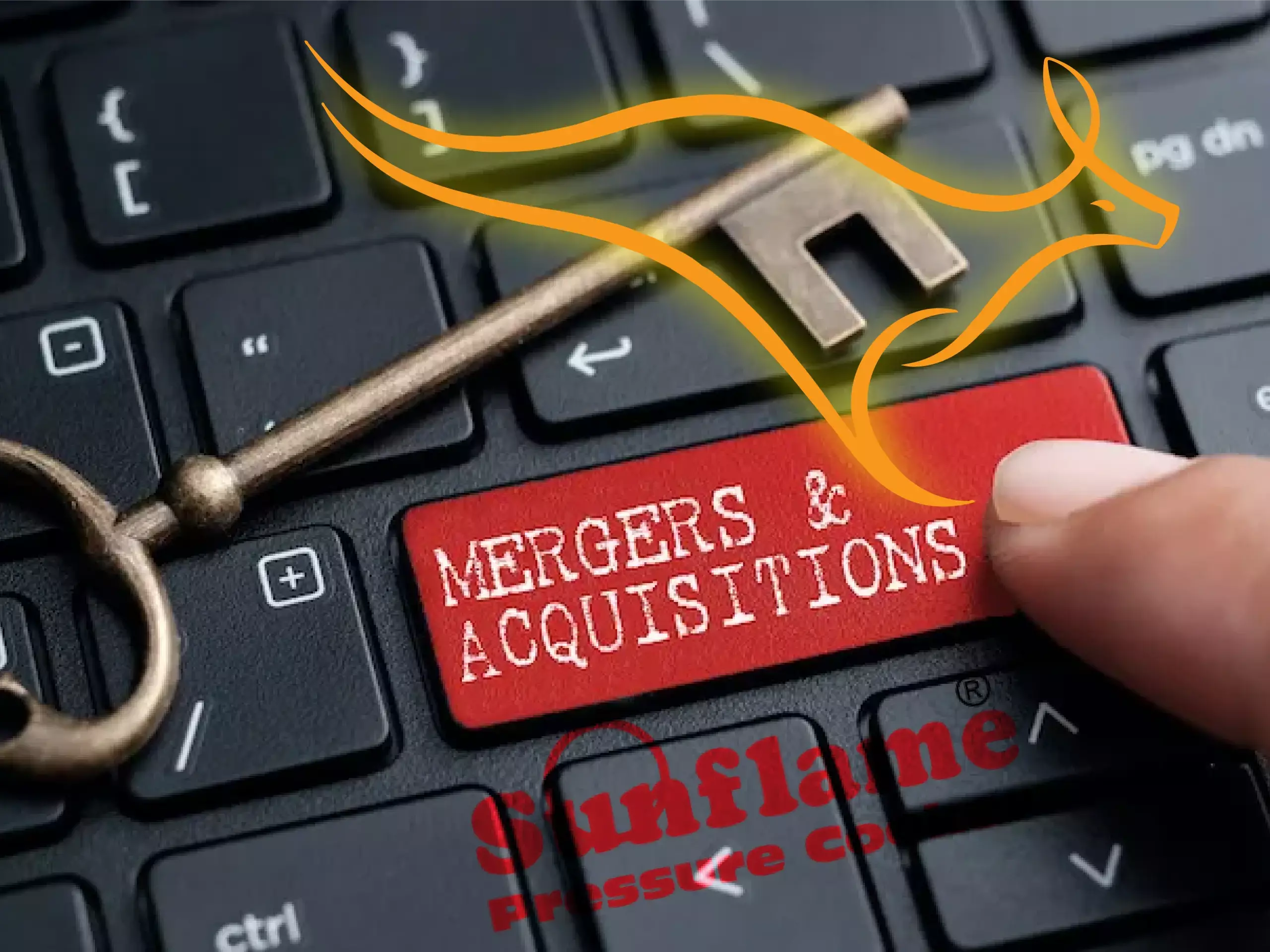 v guard loan fund sunflame buyout