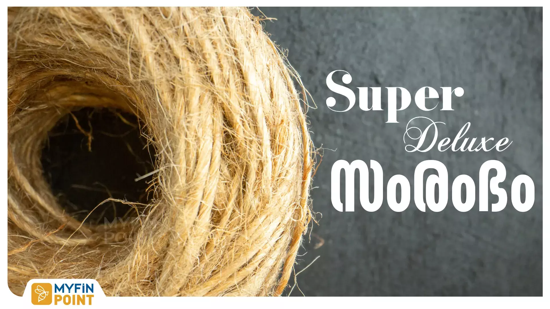 ഒരു സൂപ്പർ ഡീലക്സ് സംരംഭം