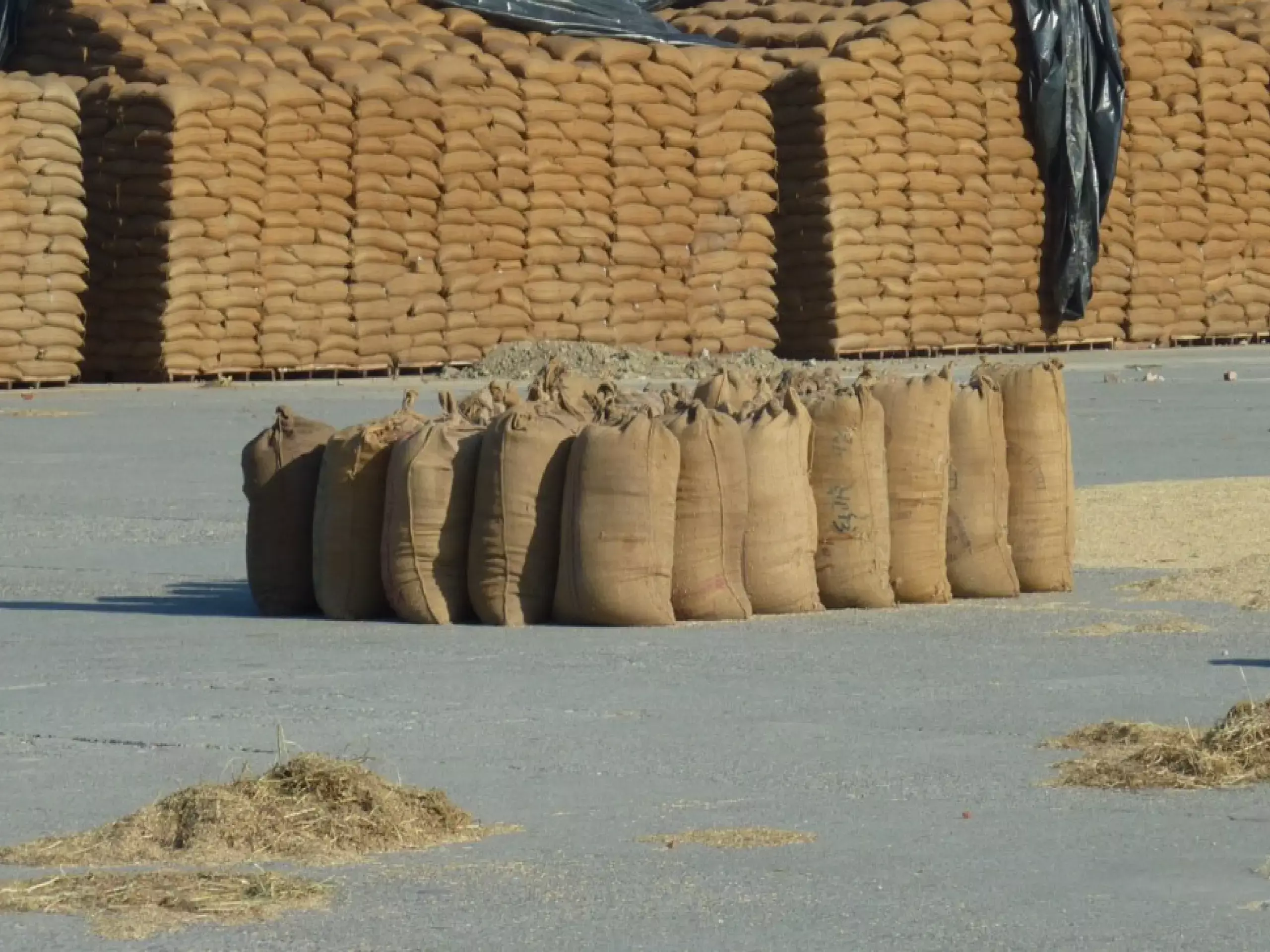 foodgrains sufficient stocks welfare schemes central gov