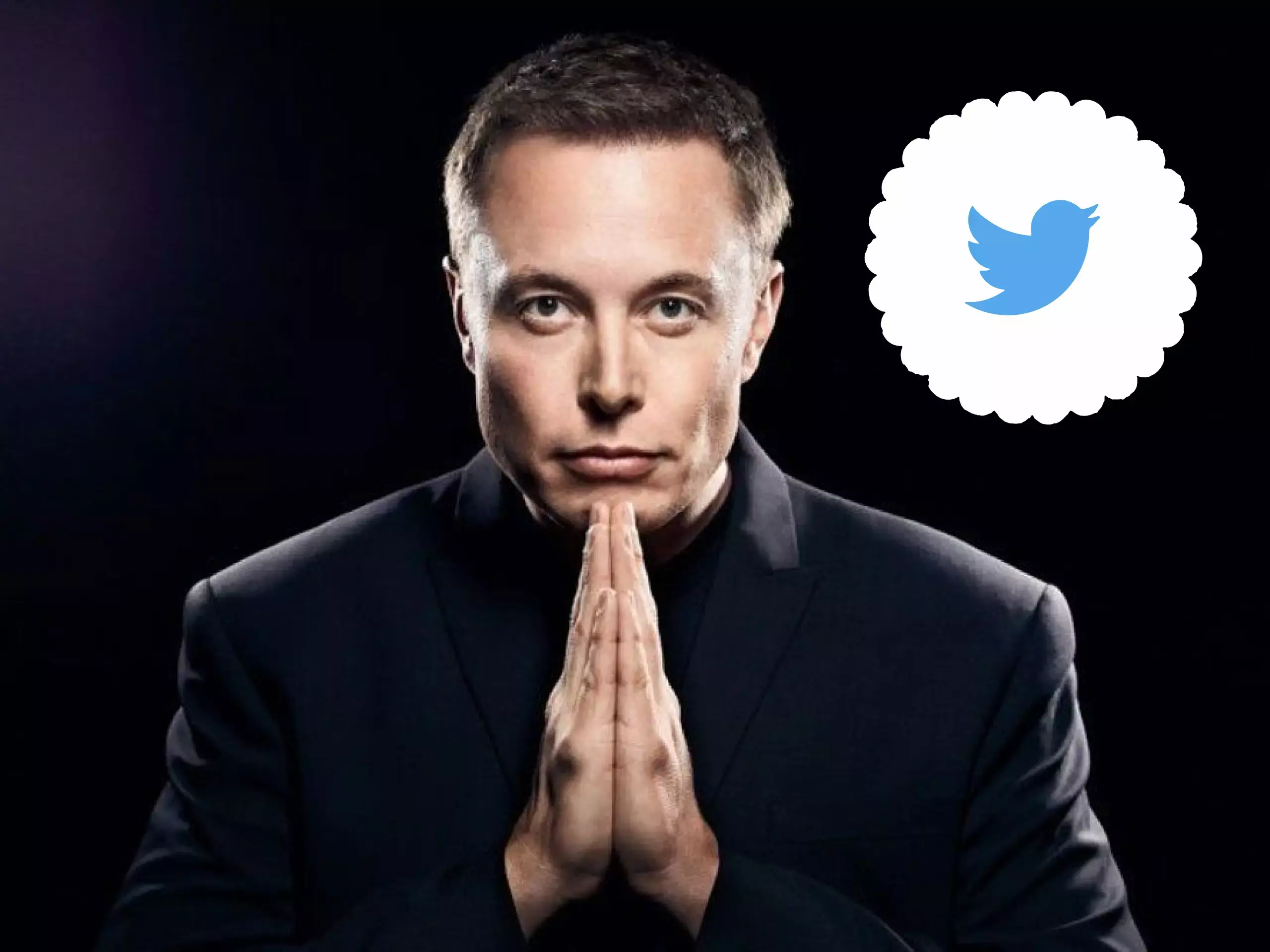 elon musk reactivate twitter account