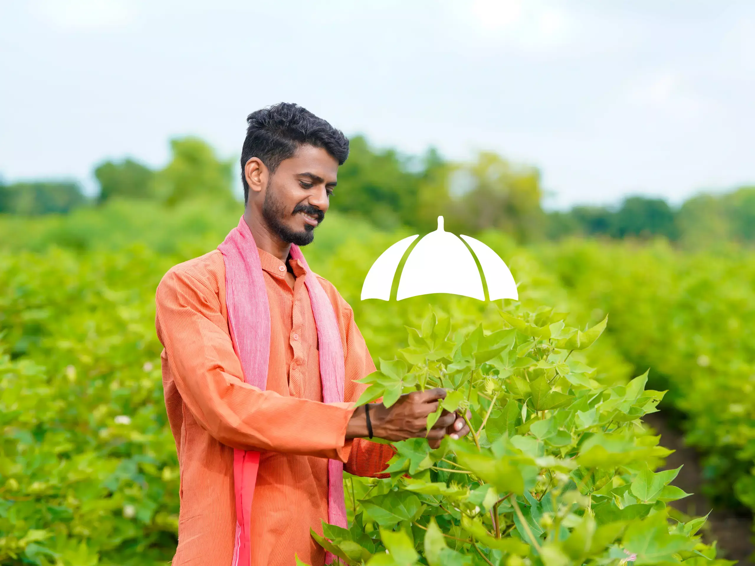 crop insurance dec 31