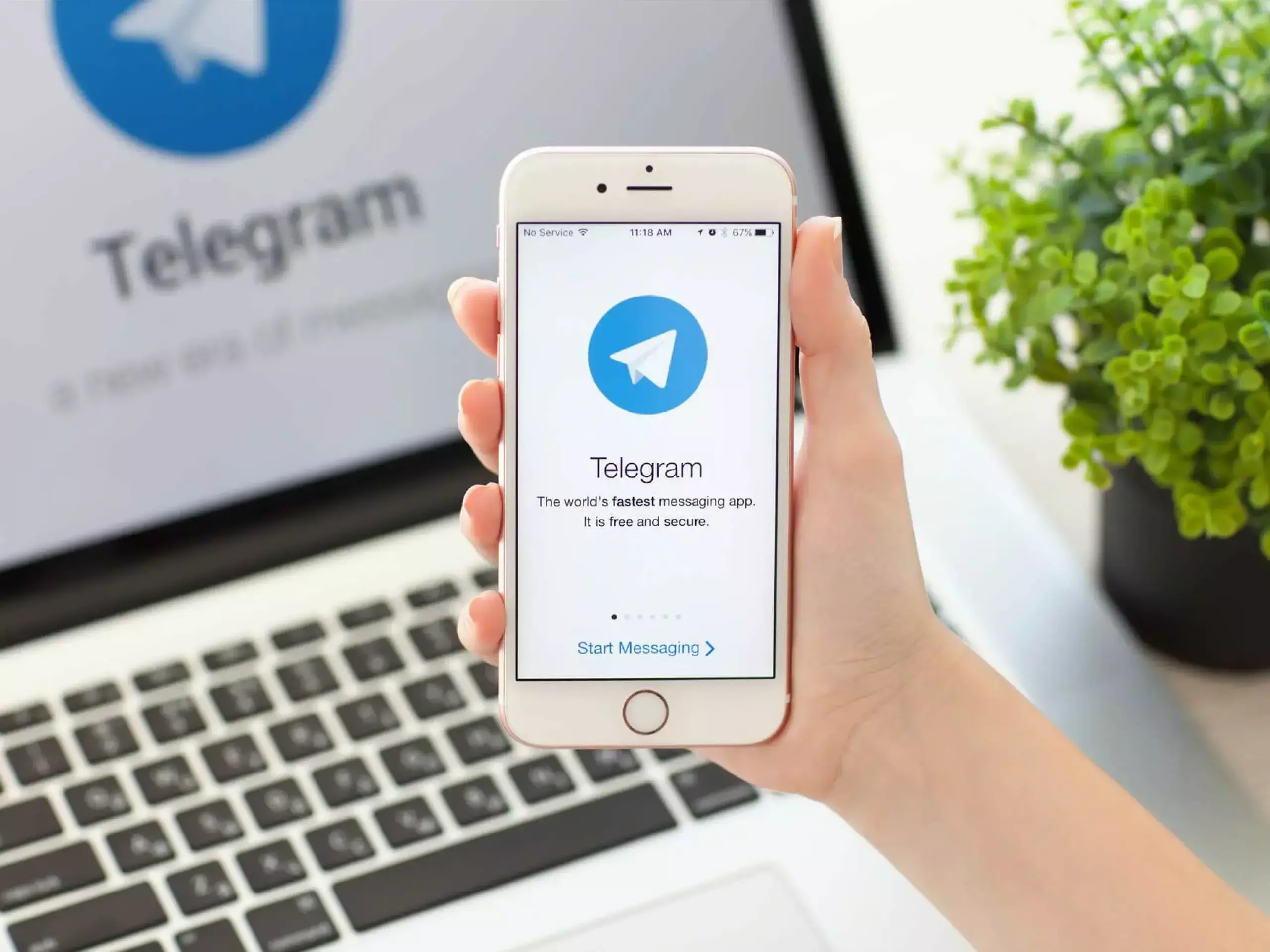 telegram