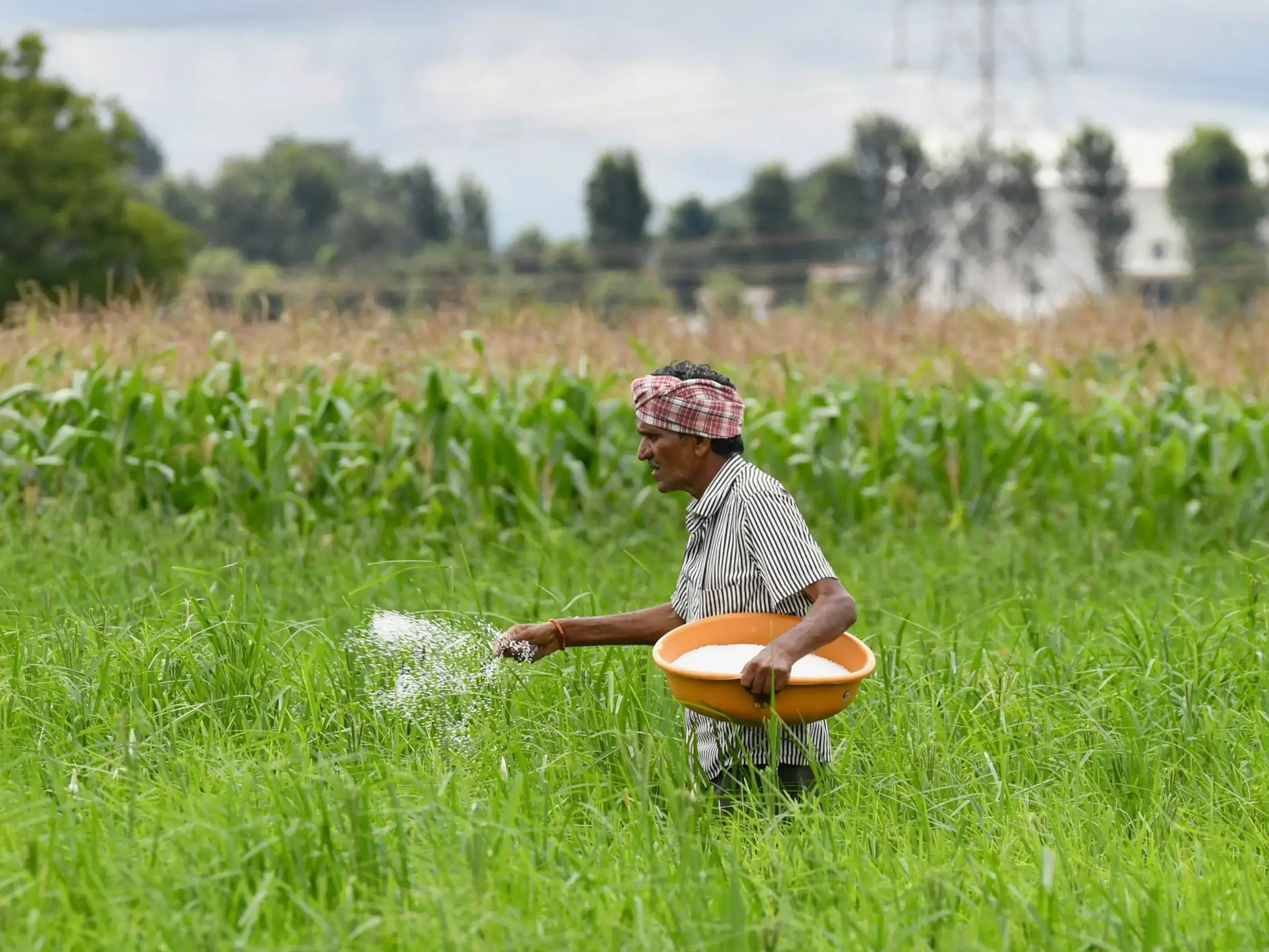 കുറഞ്ഞ നിരക്കില്‍ യൂറിയ ഉത്പാദനം സാധ്യമാക്കാന്‍ കേന്ദ്രം