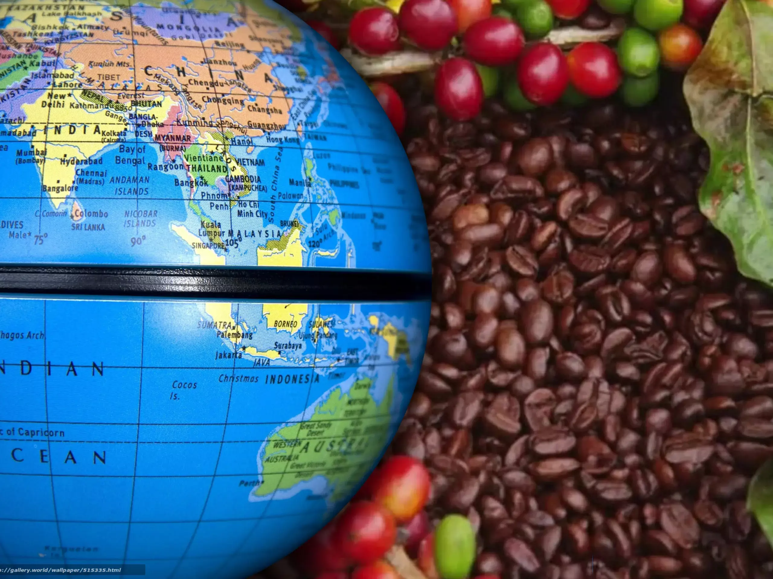 increase in coffee exports in india