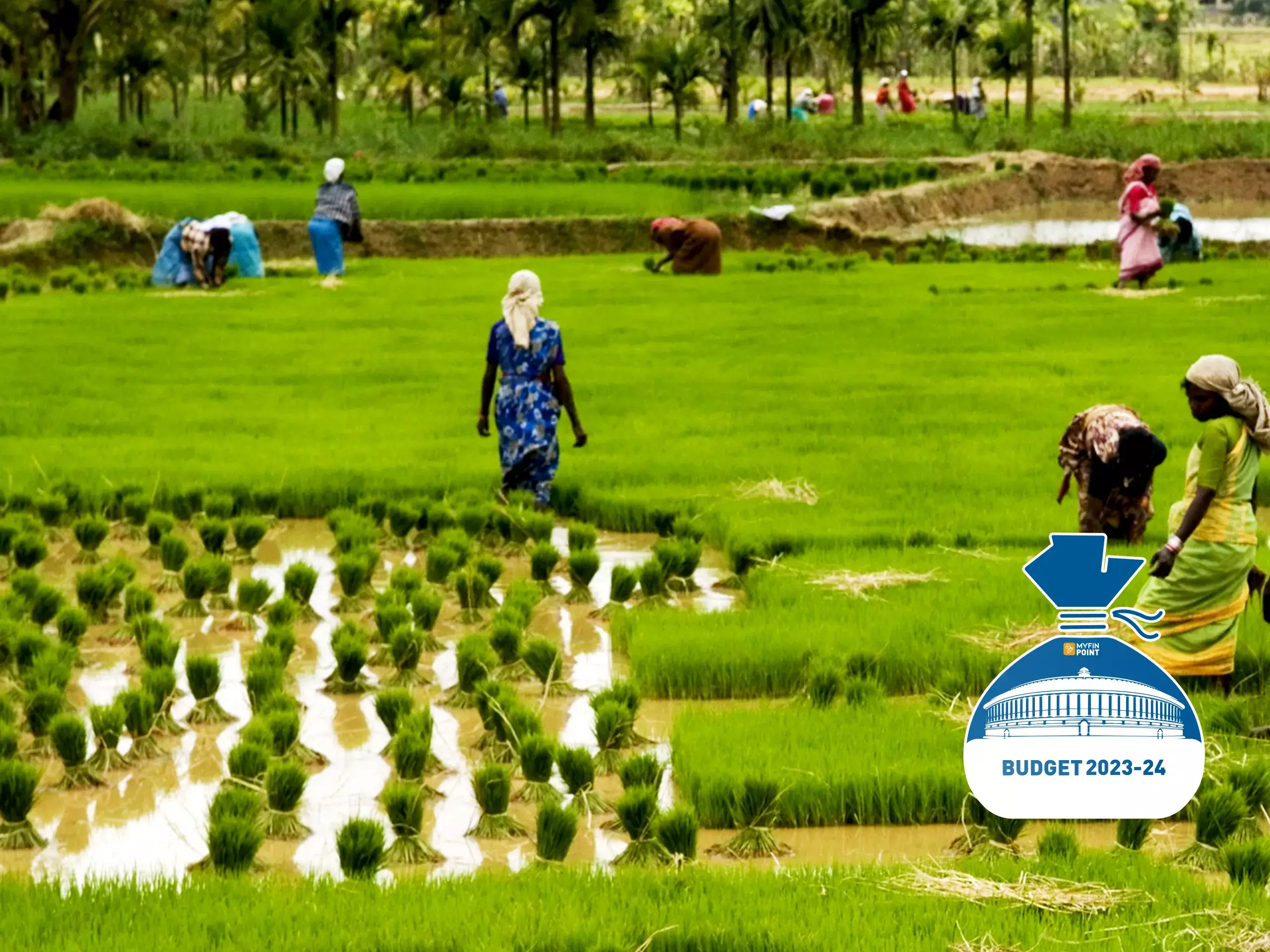 ഡ്രോണ്‍ ശക്തി, രാസരഹിത കൃഷി, അഗ്രിടെക്ക്: കാര്‍ഷിക മേഖലയ്ക്ക് ബജറ്റില്‍ പ്രതീക്ഷ ഏറെ