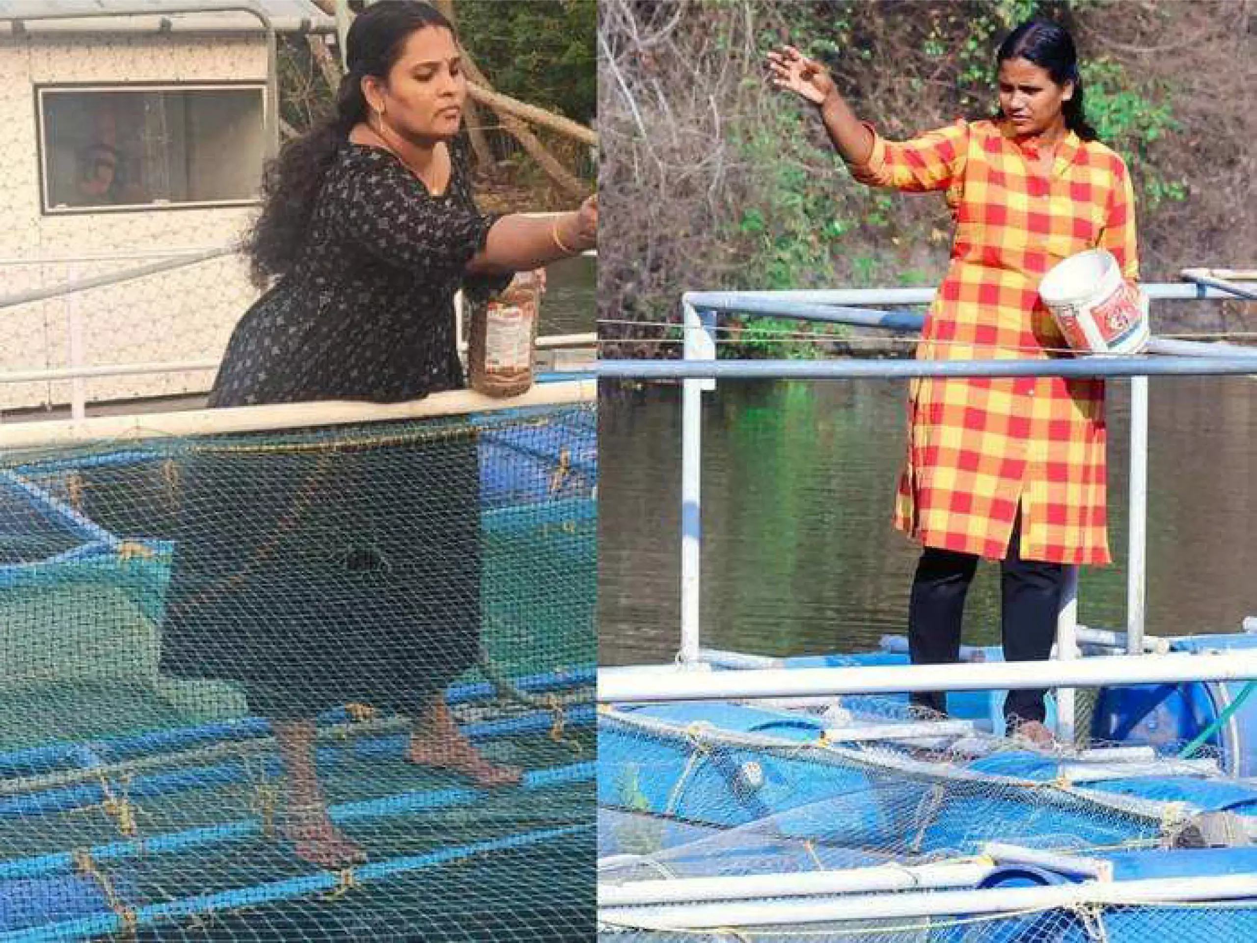 raji george and smija fish farming