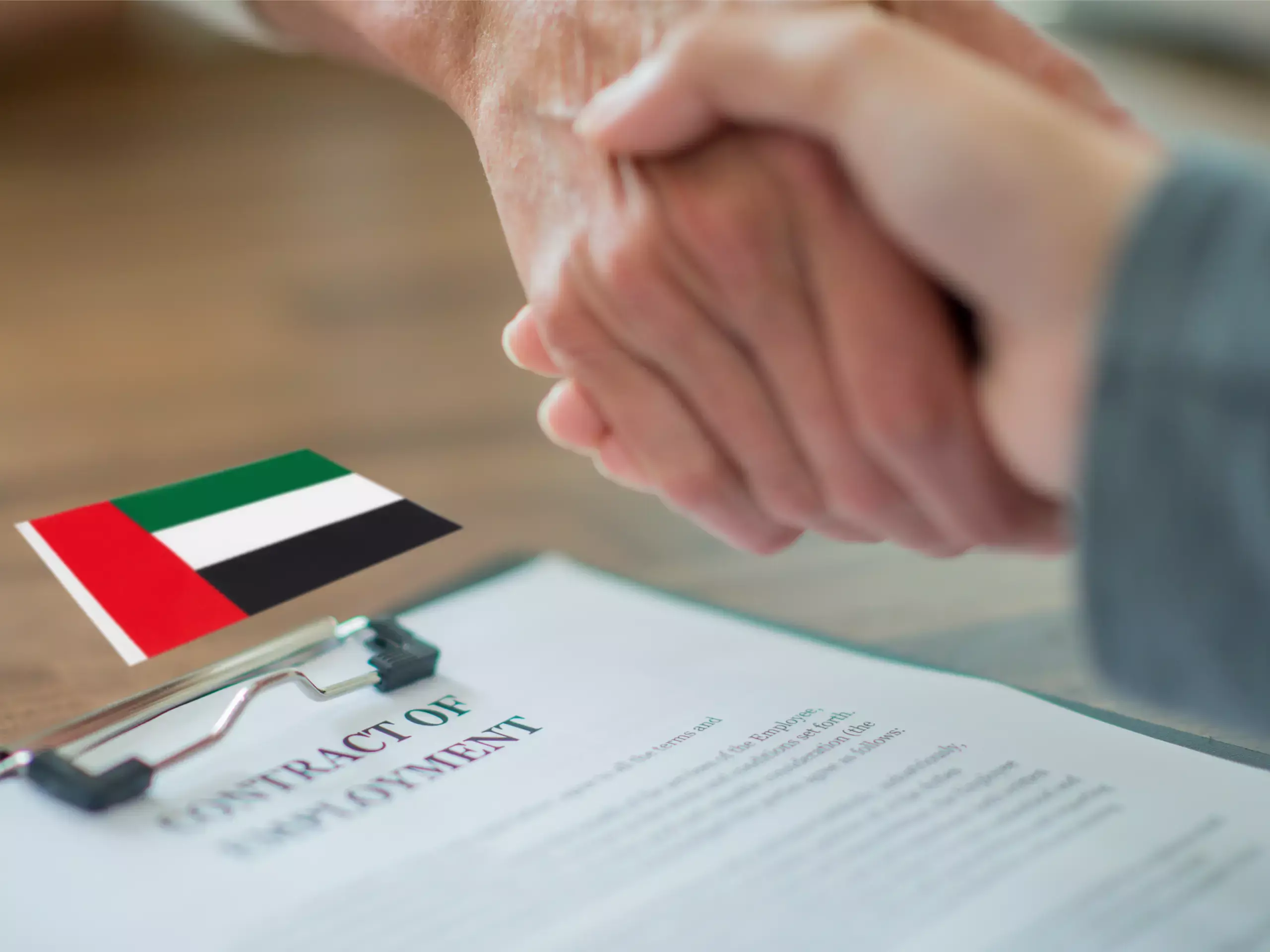 uae employment contract new