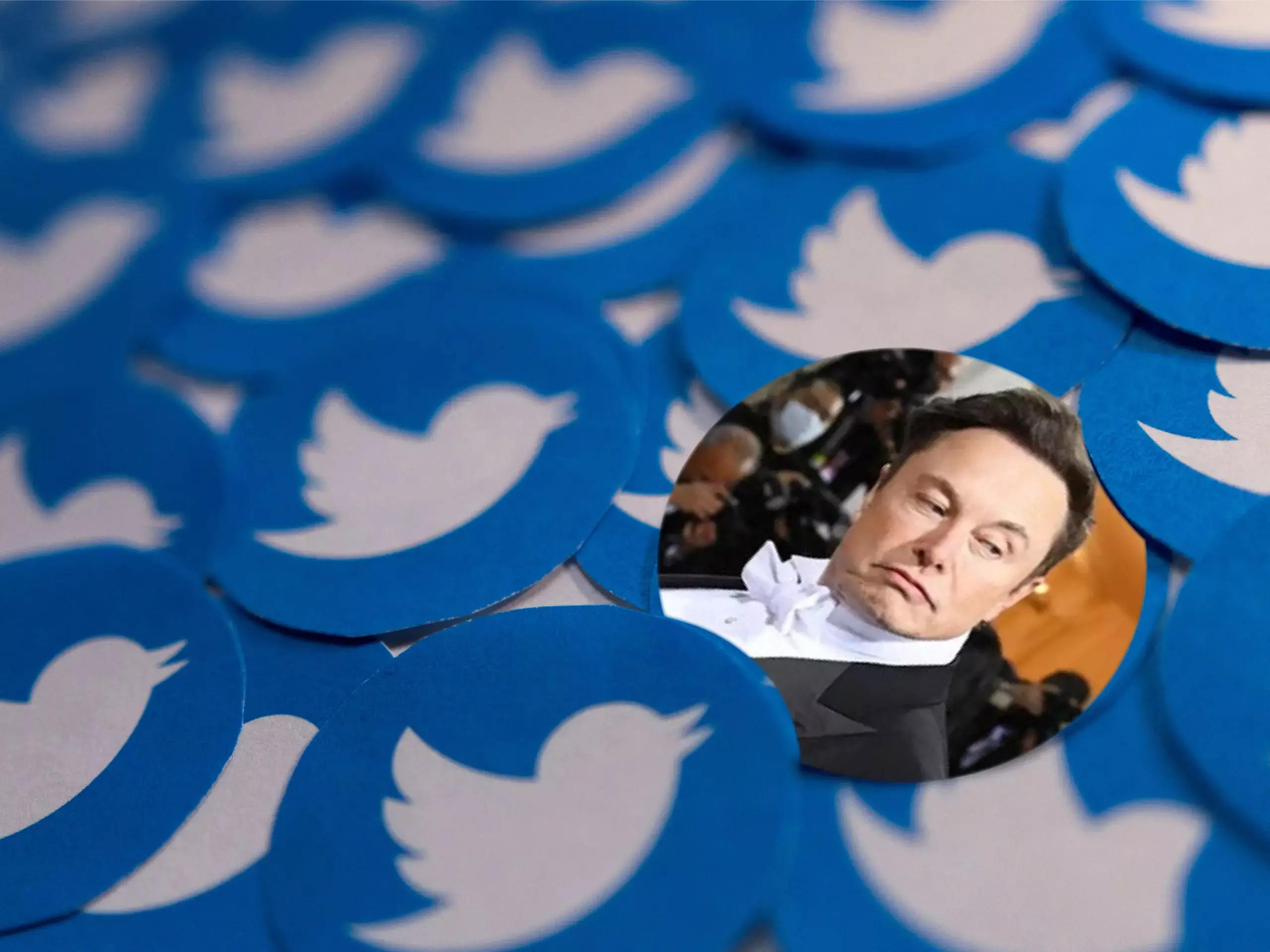 slash in twitter income