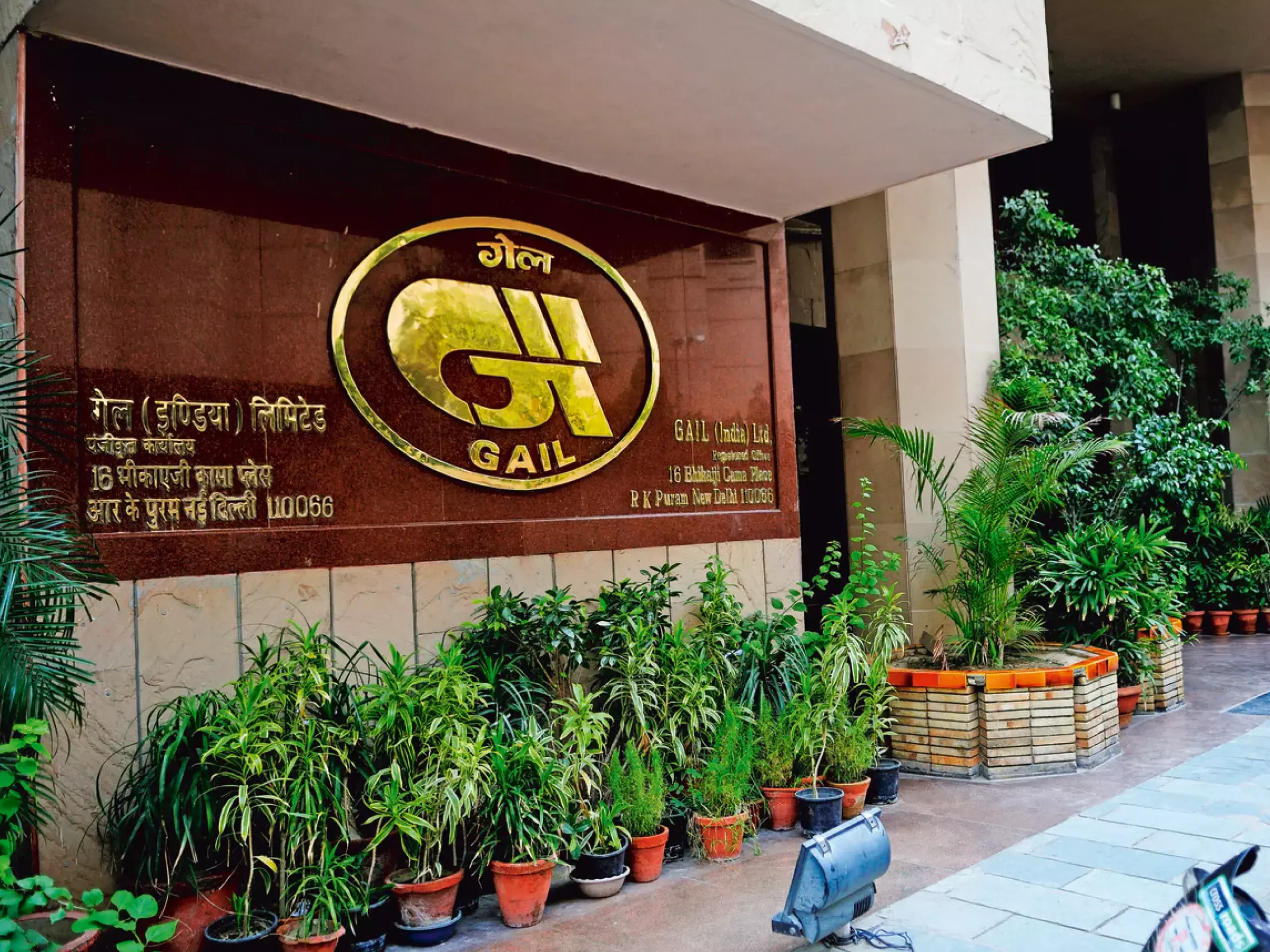 gail net profit down