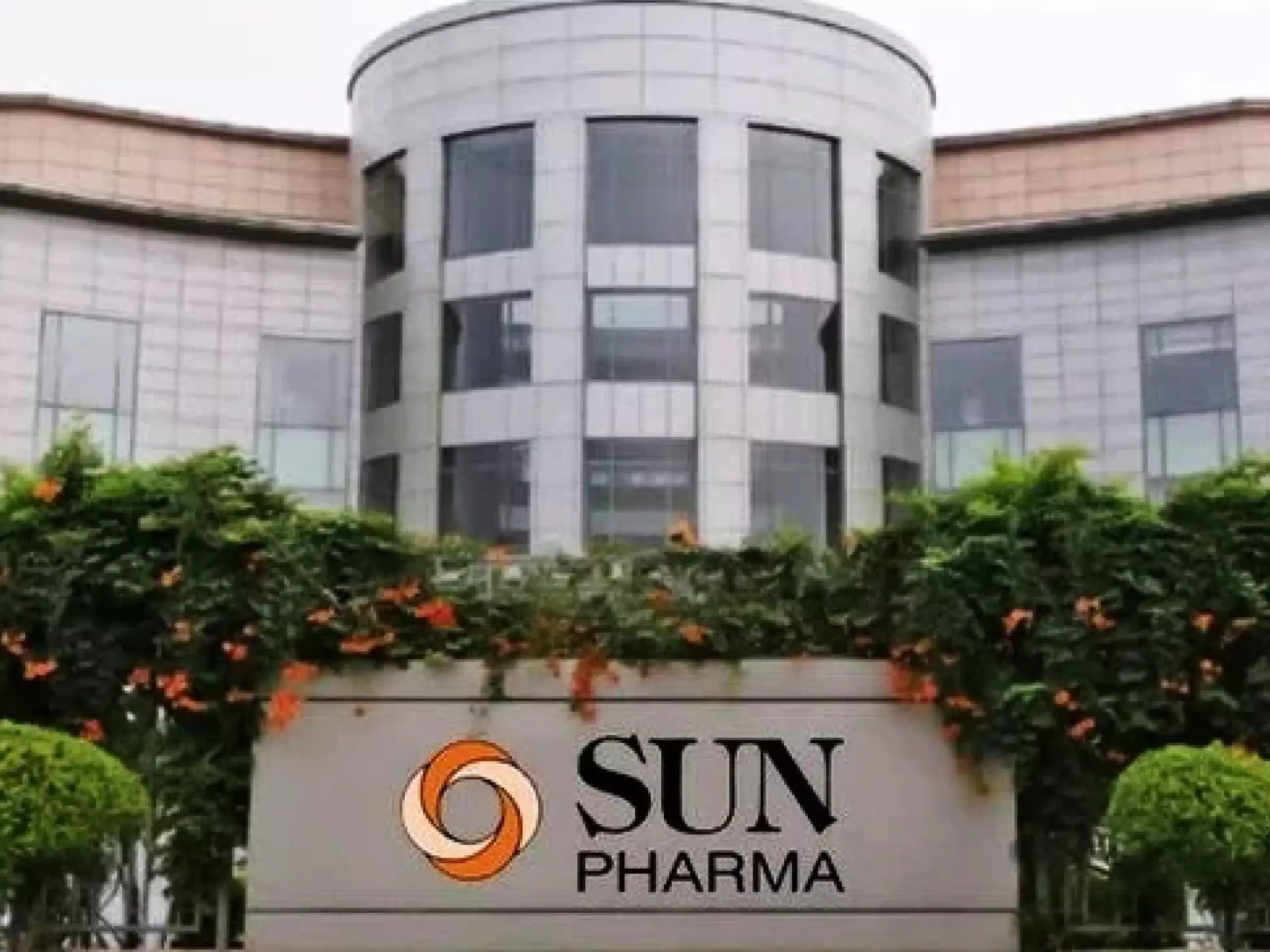 sunpharma net profit growth