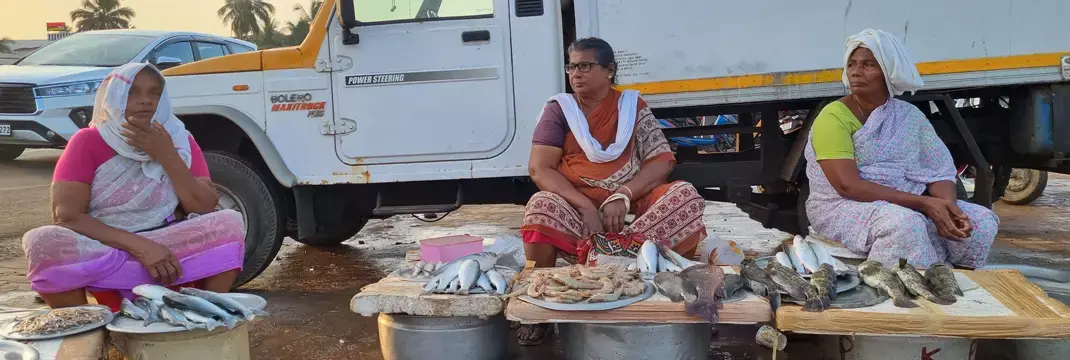 Fish Selling