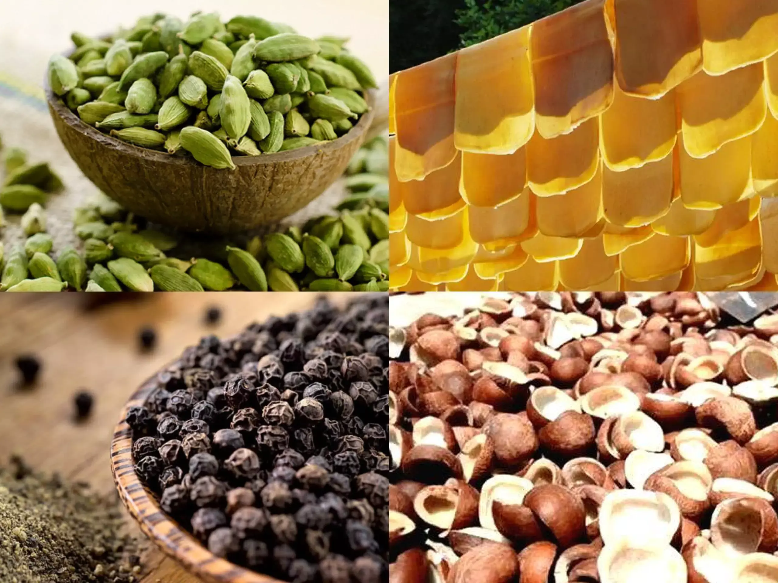 commodity item rates update 01 02