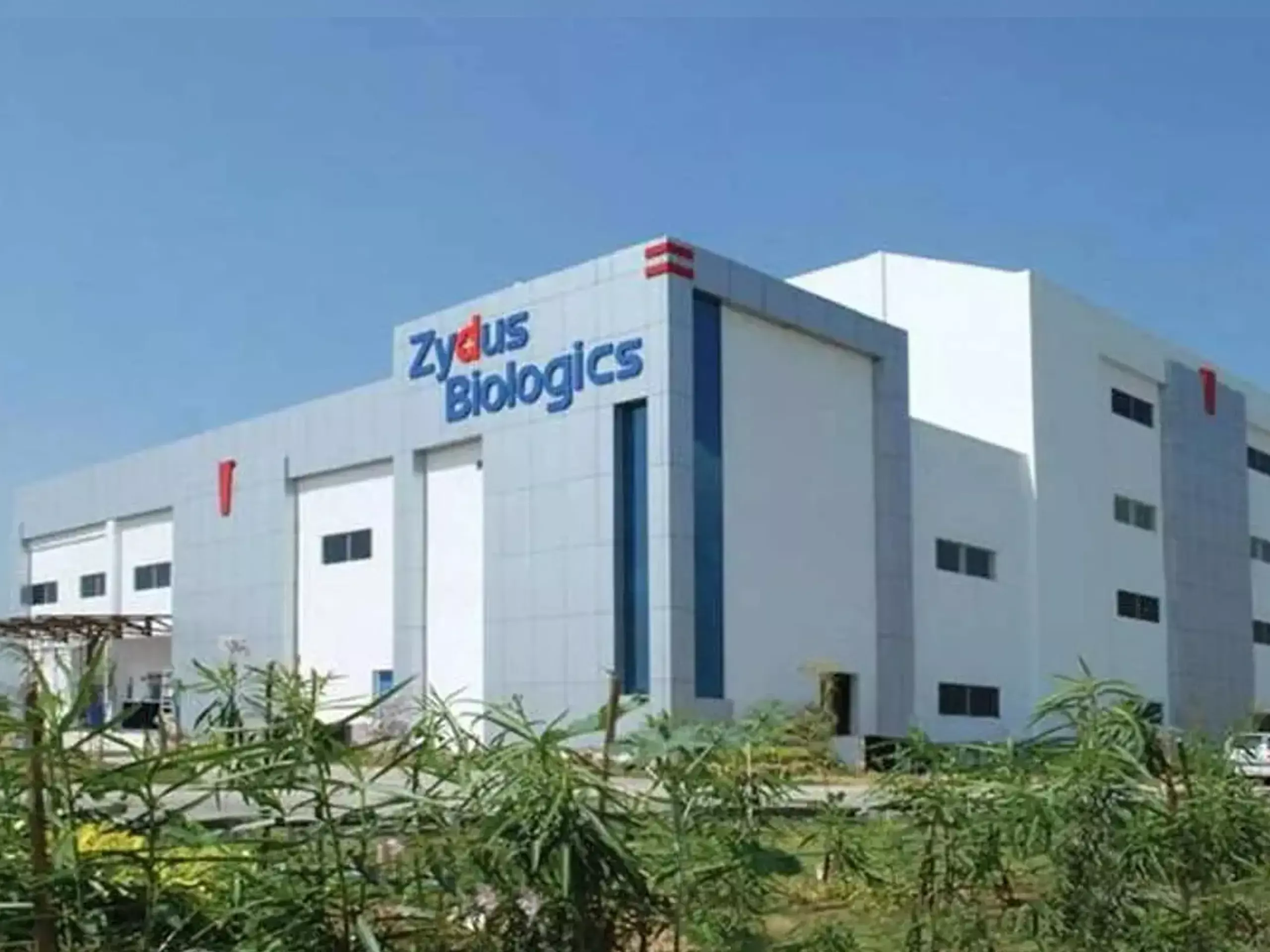 സൈഡസ് ലൈഫ് സയൻസസിന്റെ അറ്റാദായത്തിൽ 25 ശതമാനം വർധന