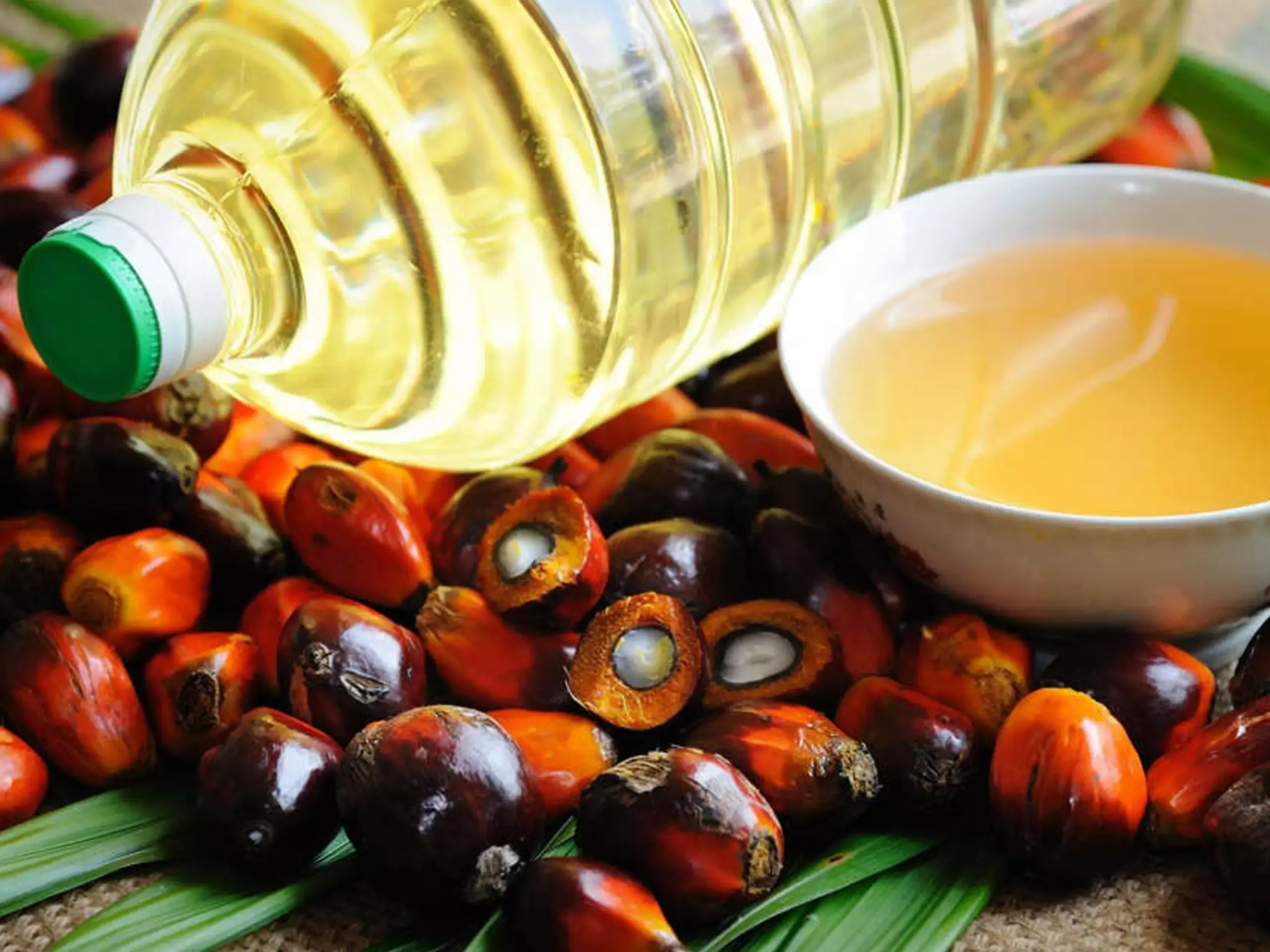 കേരള തുറമുഖങ്ങള്‍ വഴിയുള്ള പാമോയില്‍ ഇറക്കുമതി നിരോധനം എന്തു നേടി?