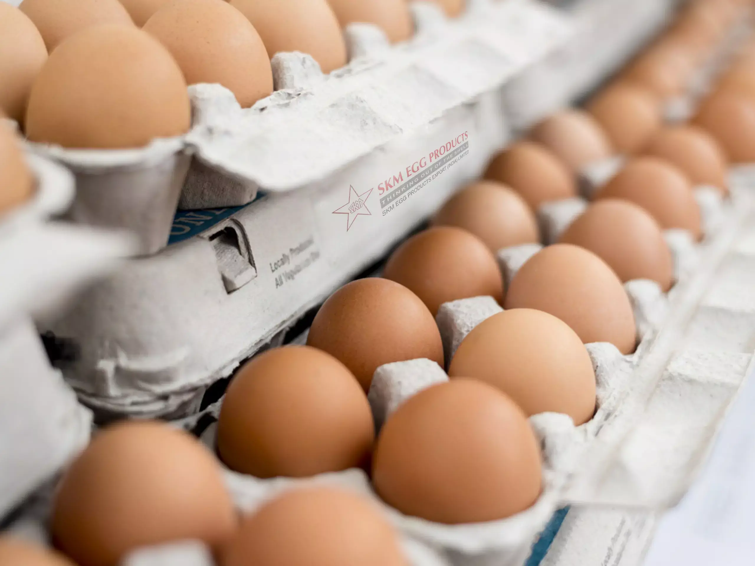 കോഴിമുട്ടയ്ക്ക് റെക്കോര്ഡ് വില കോഴിമുട്ടയ്ക്ക് റെക്കോര്ഡ് വില