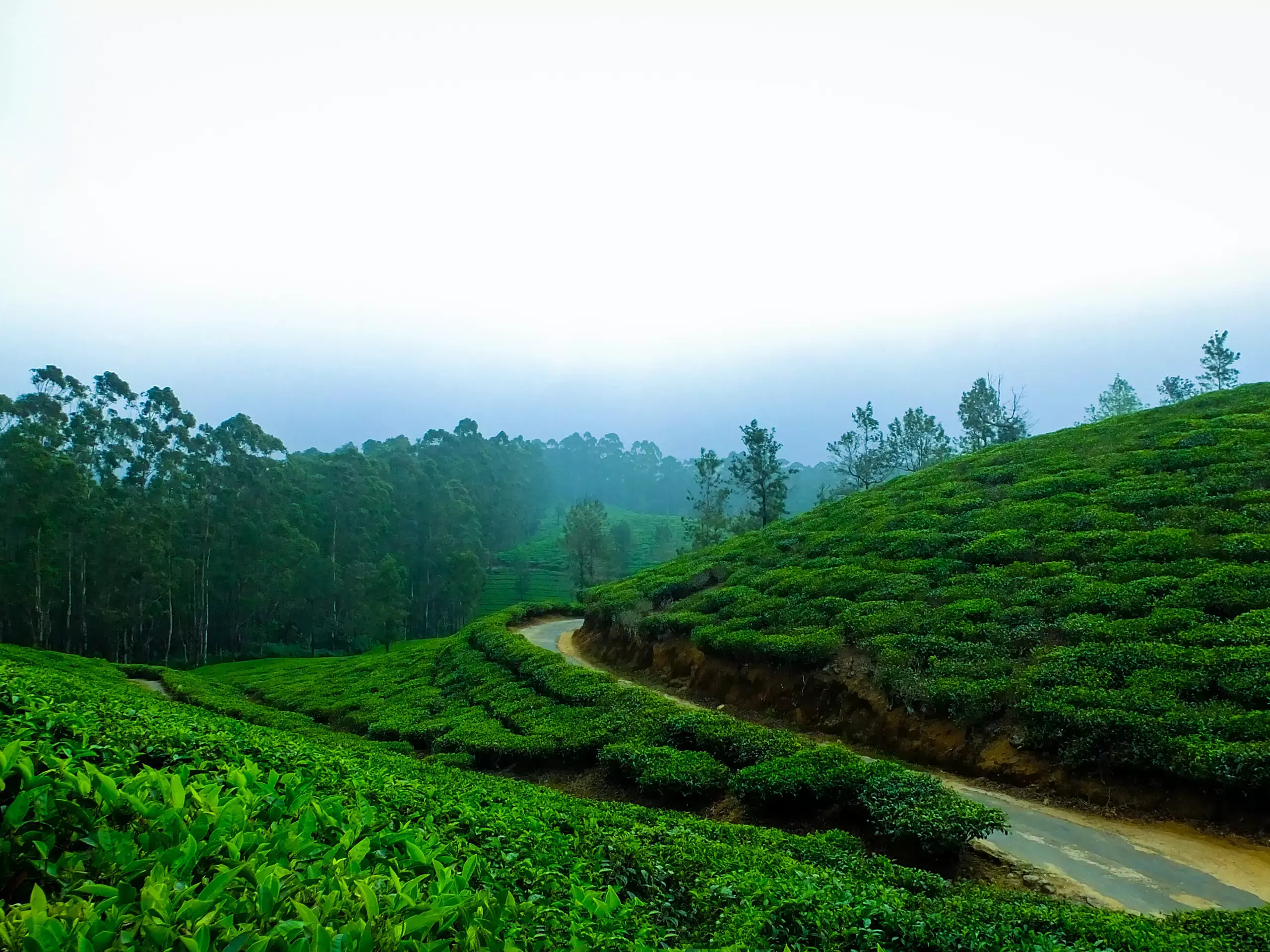 അന്താരാഷ്ട്ര ടൂറിസം ടെക്‌നോളജി സമ്മേളനം കൊച്ചിയില്‍