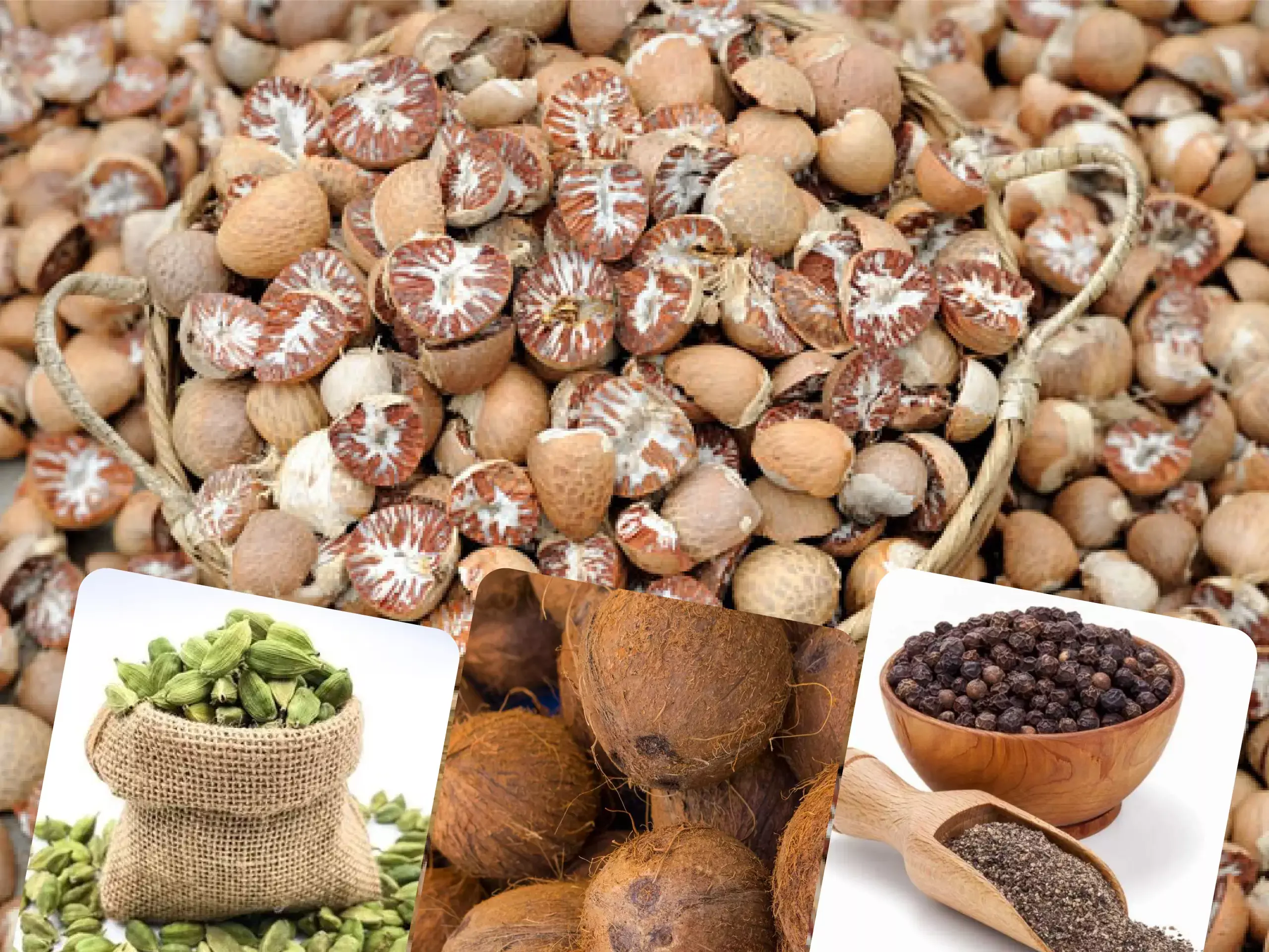 commodities market udpdation