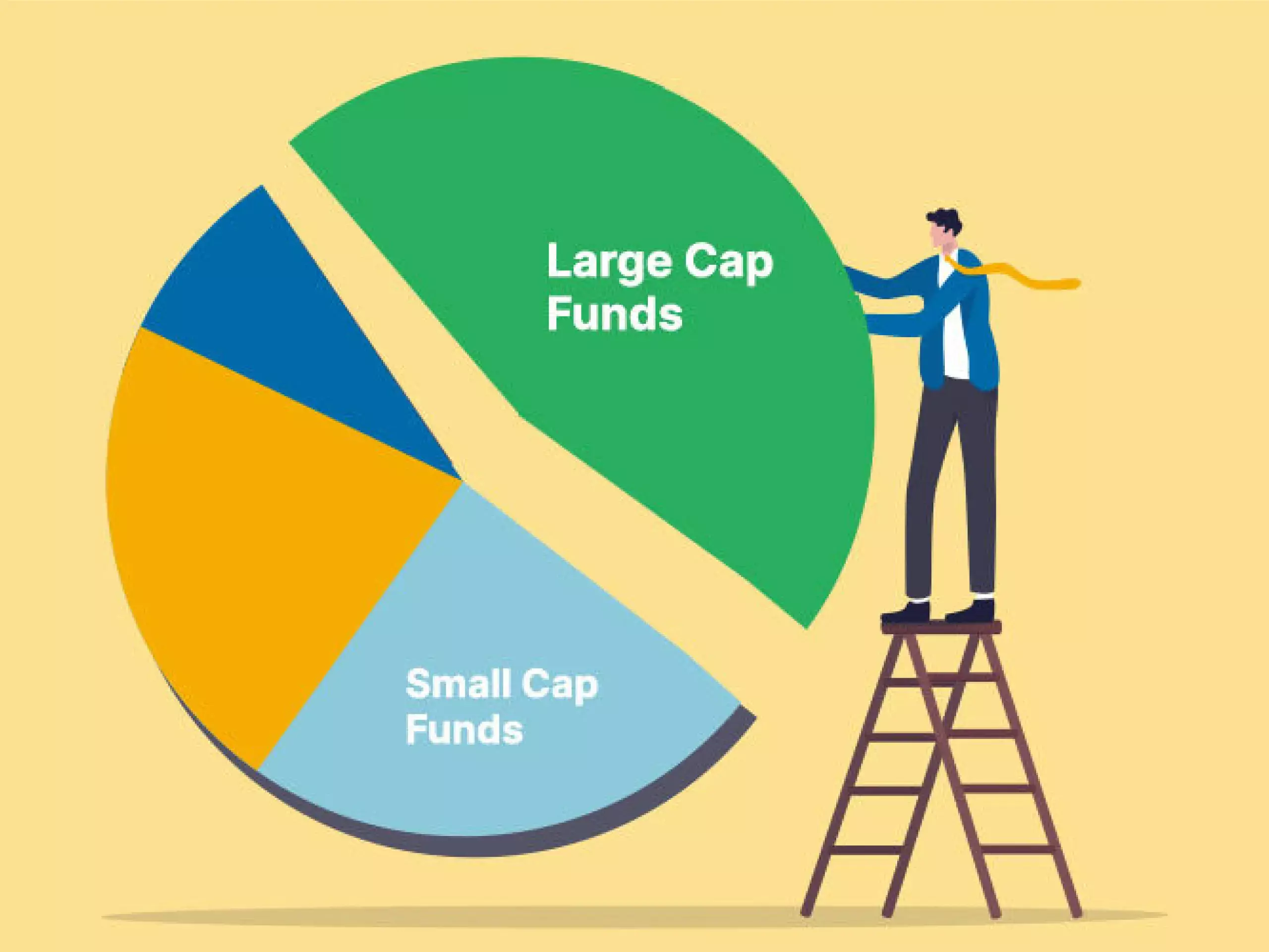 large cap mutual fund better future