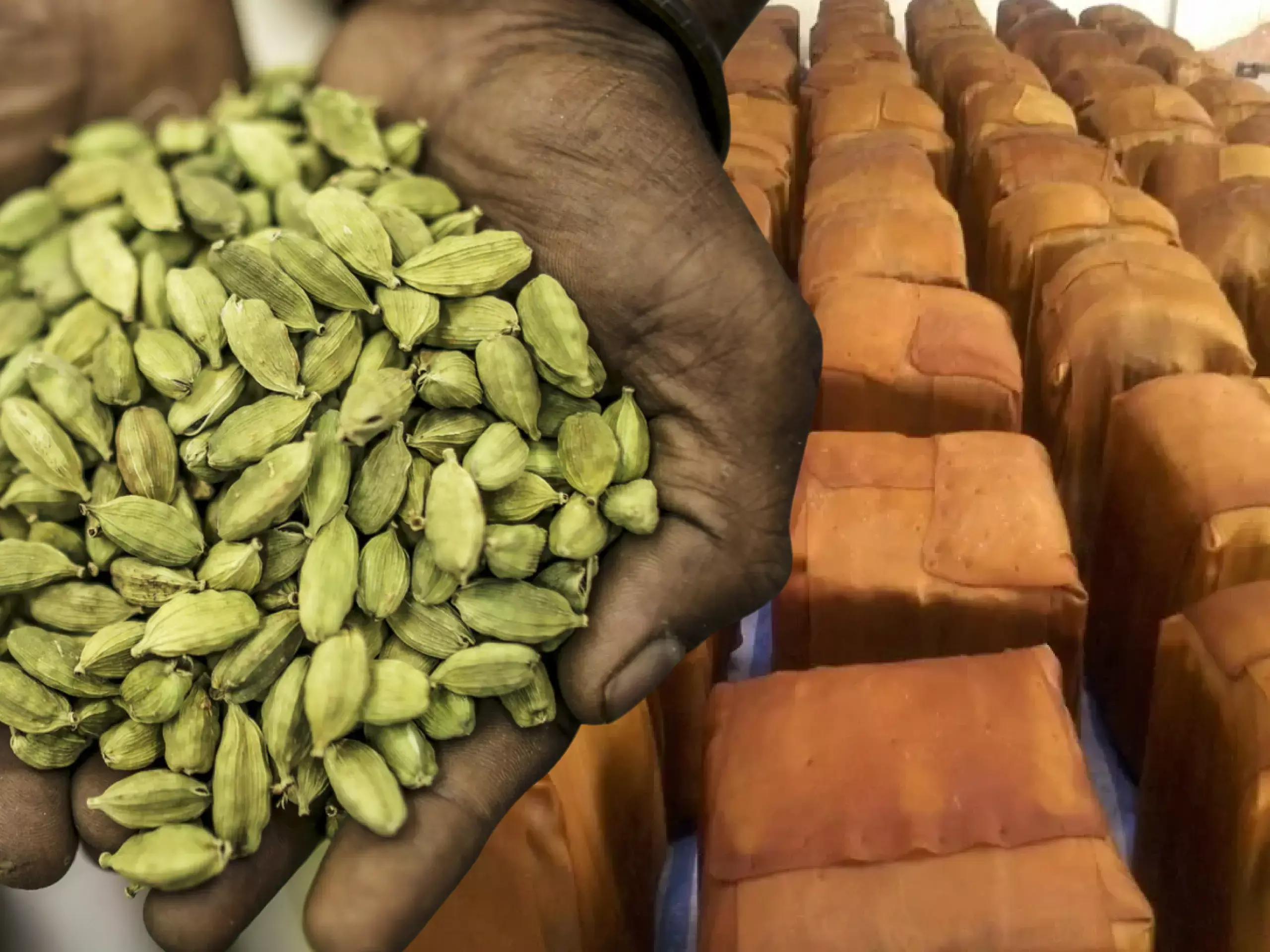 commodities market updates 17 02