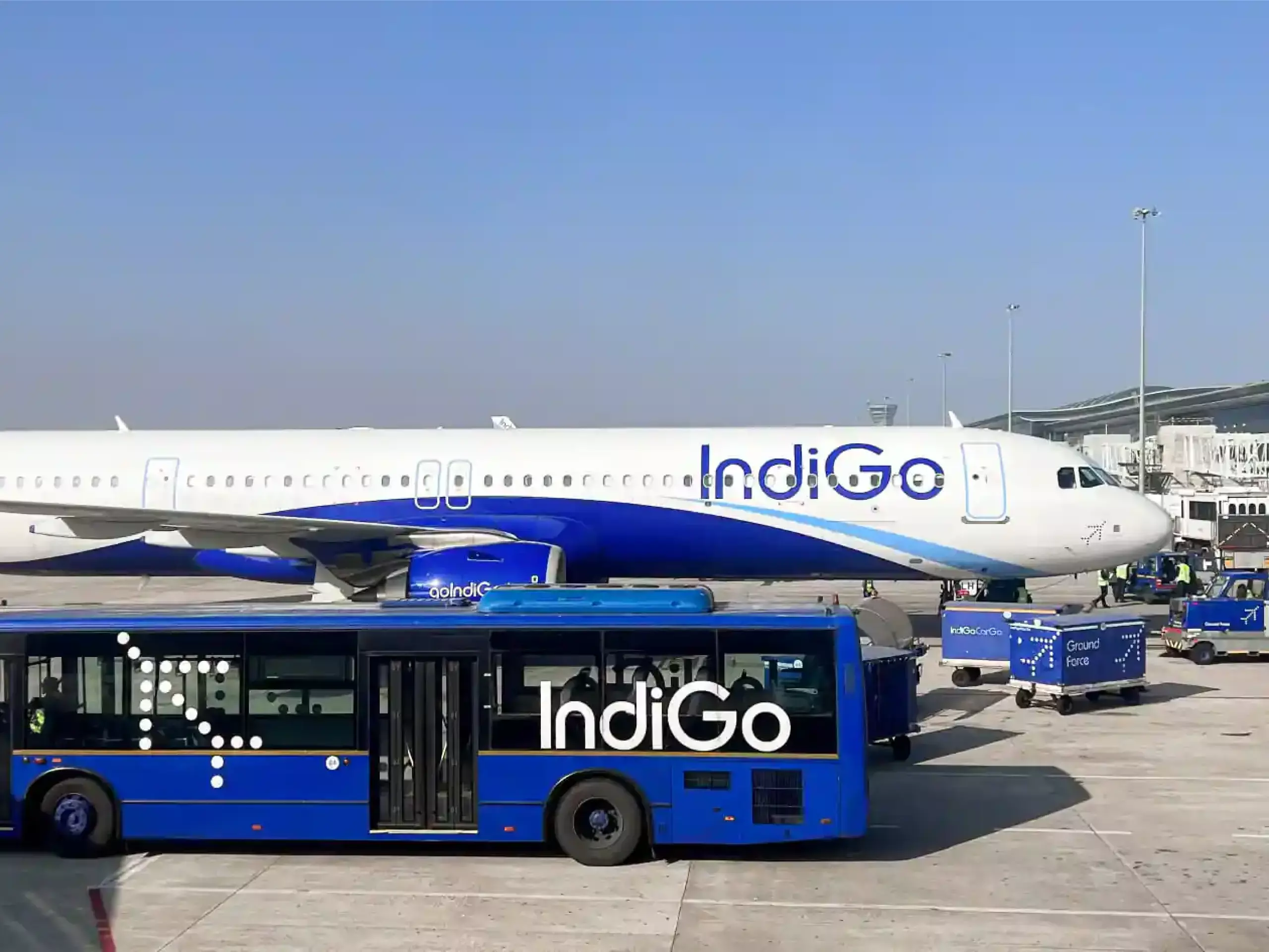 indigo flight buying europeon market
