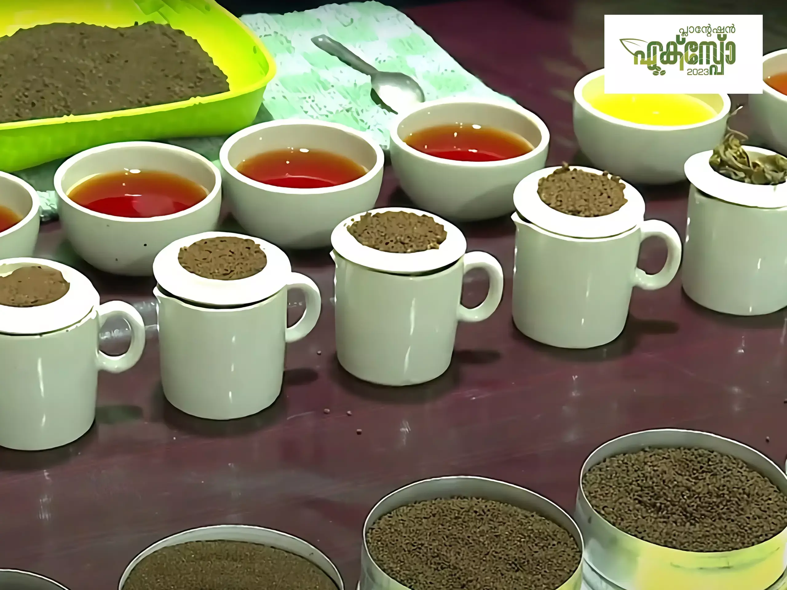 ഒരു കിലോ തേയില പൊടിക്ക് 300 മുതല്‍ 20000 രൂപ വരെ; പ്ലാന്റേഷന്‍ എക്‌സ്‌പോയില്‍ താരമായി ടീ സ്റ്റാളുകള്‍