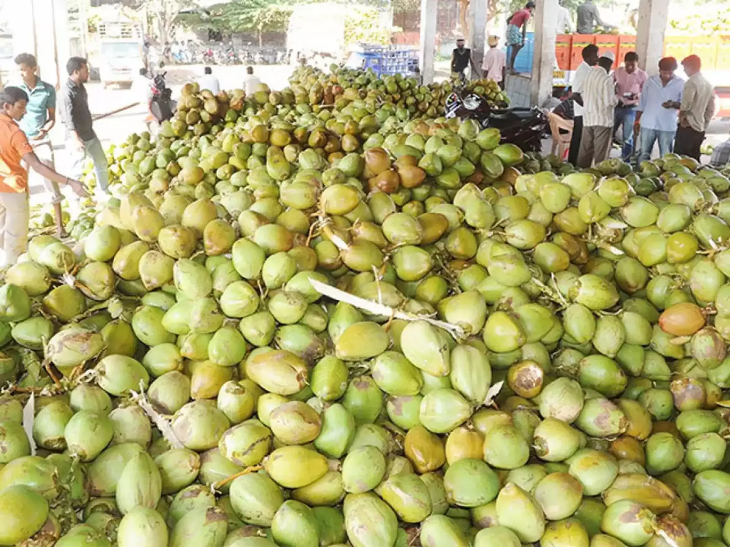 commodities market update 22 02