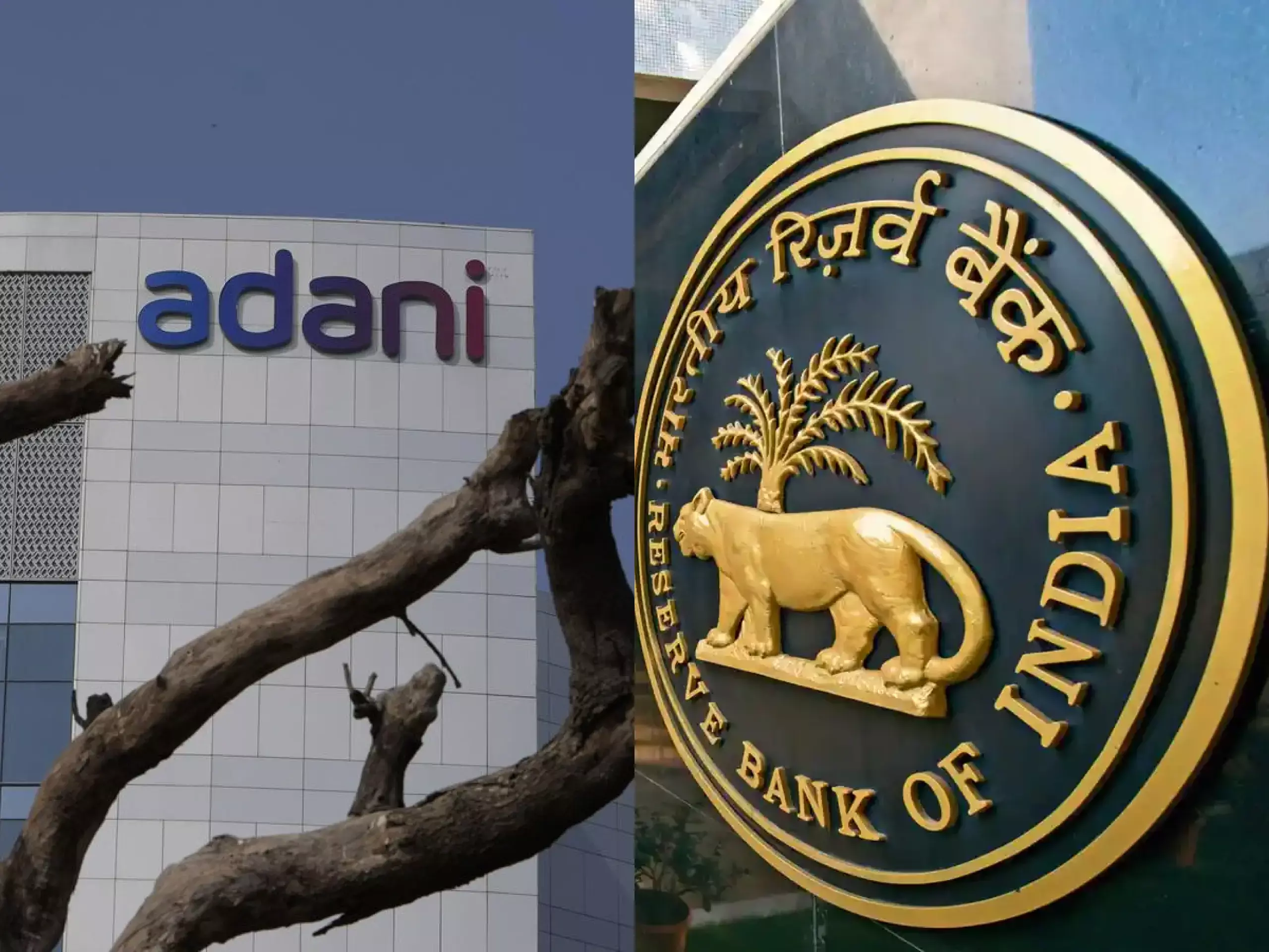 rbi directly intervenes in financial information of adani group