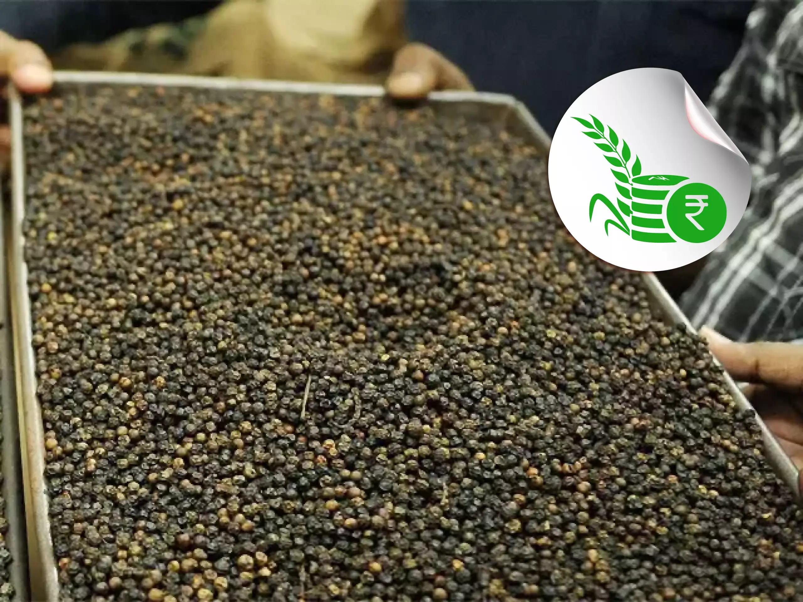 commodities market update 03 03