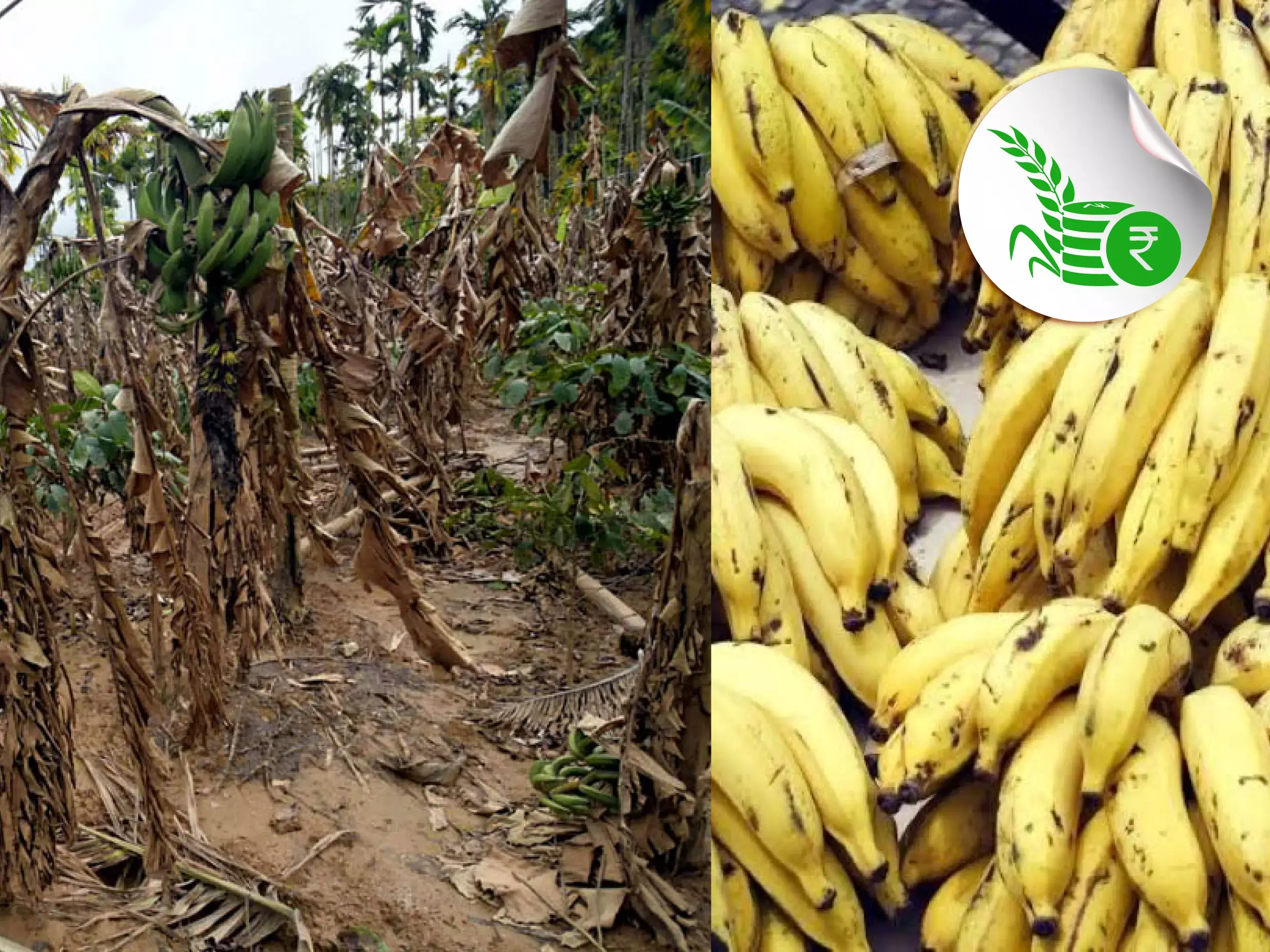 commodities market update 10 03