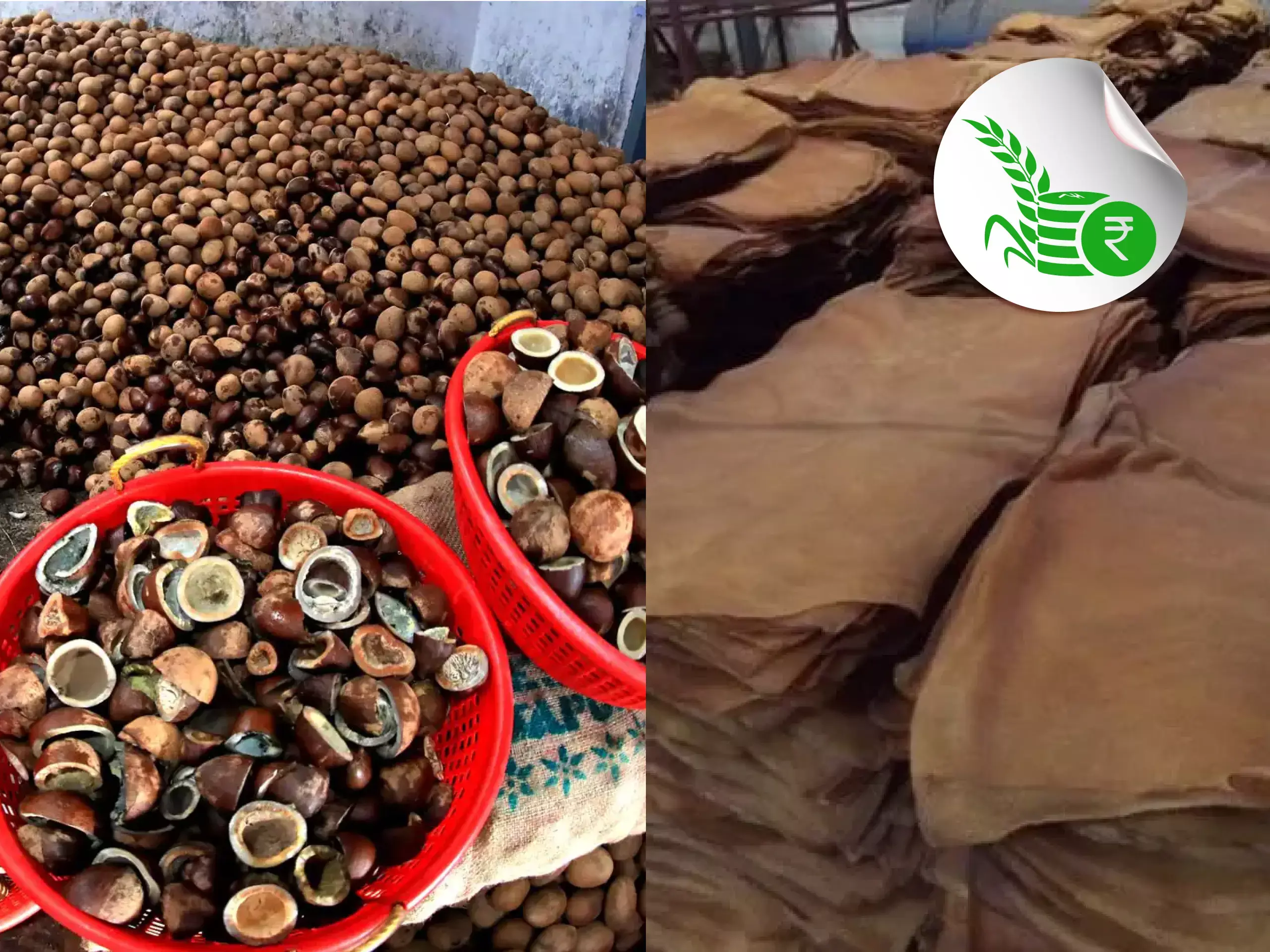 commodities market update 15 03