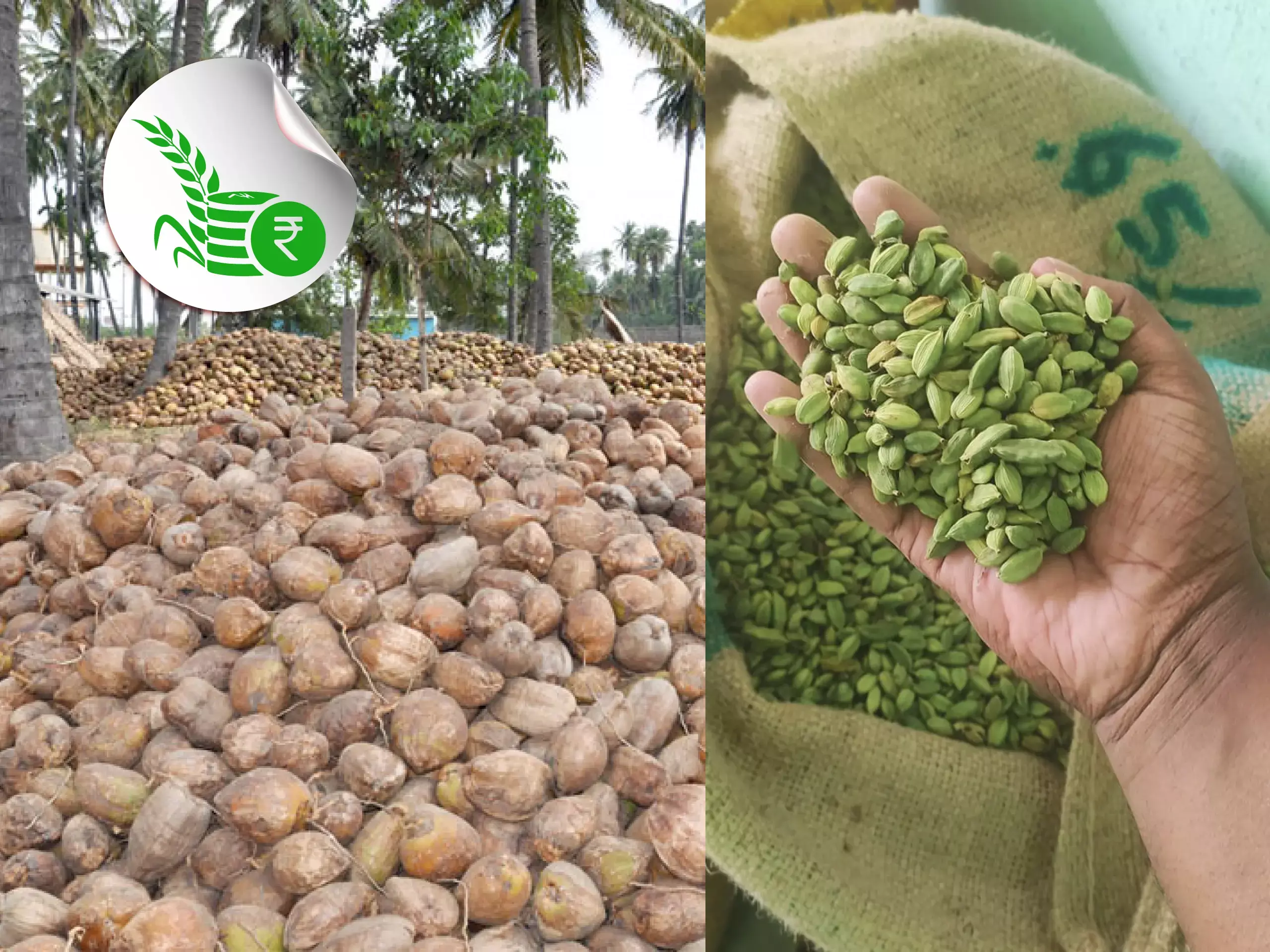 commodities market updates 17 03