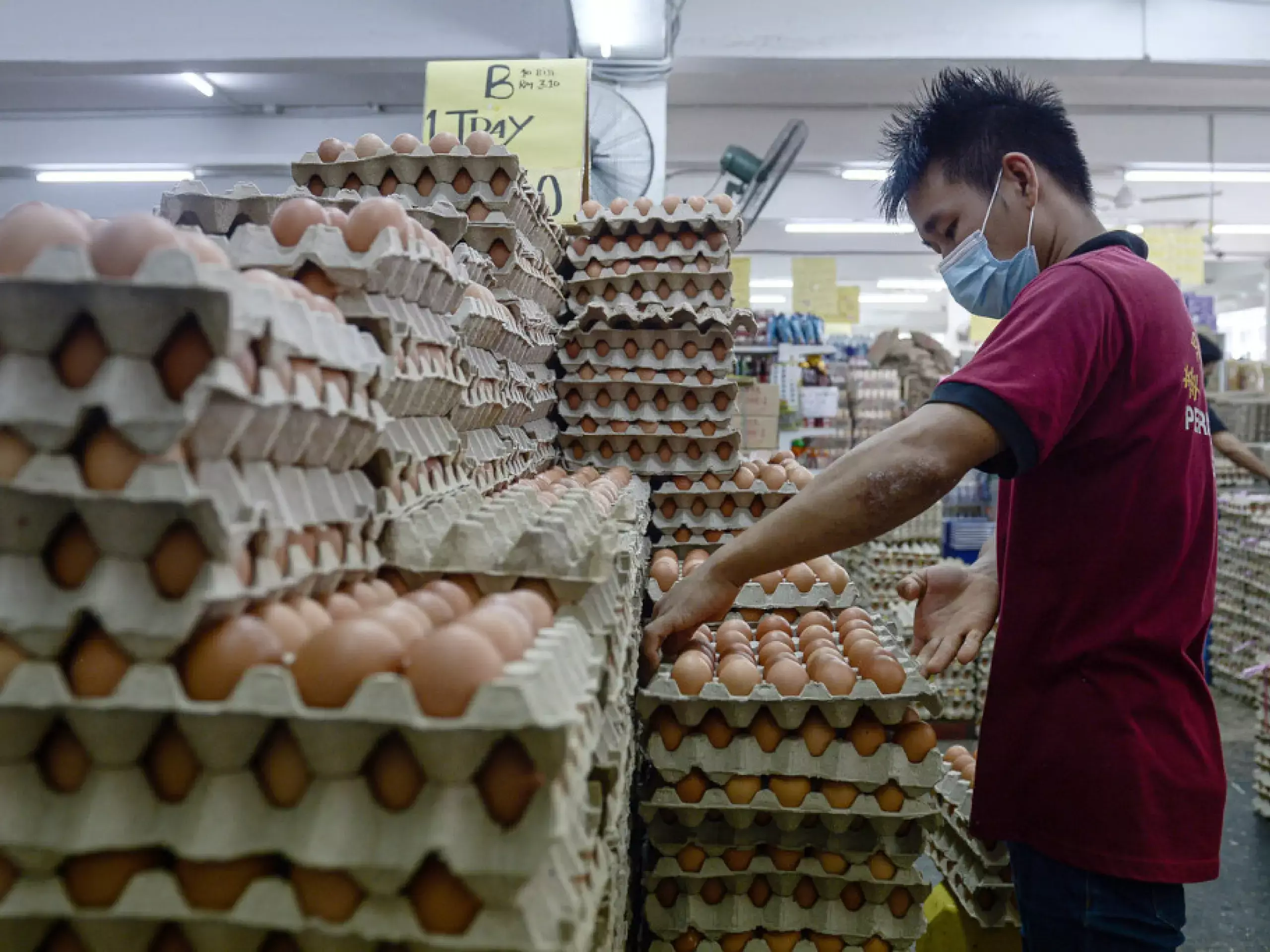 malasian egg shortage depends kerala tamilnadu