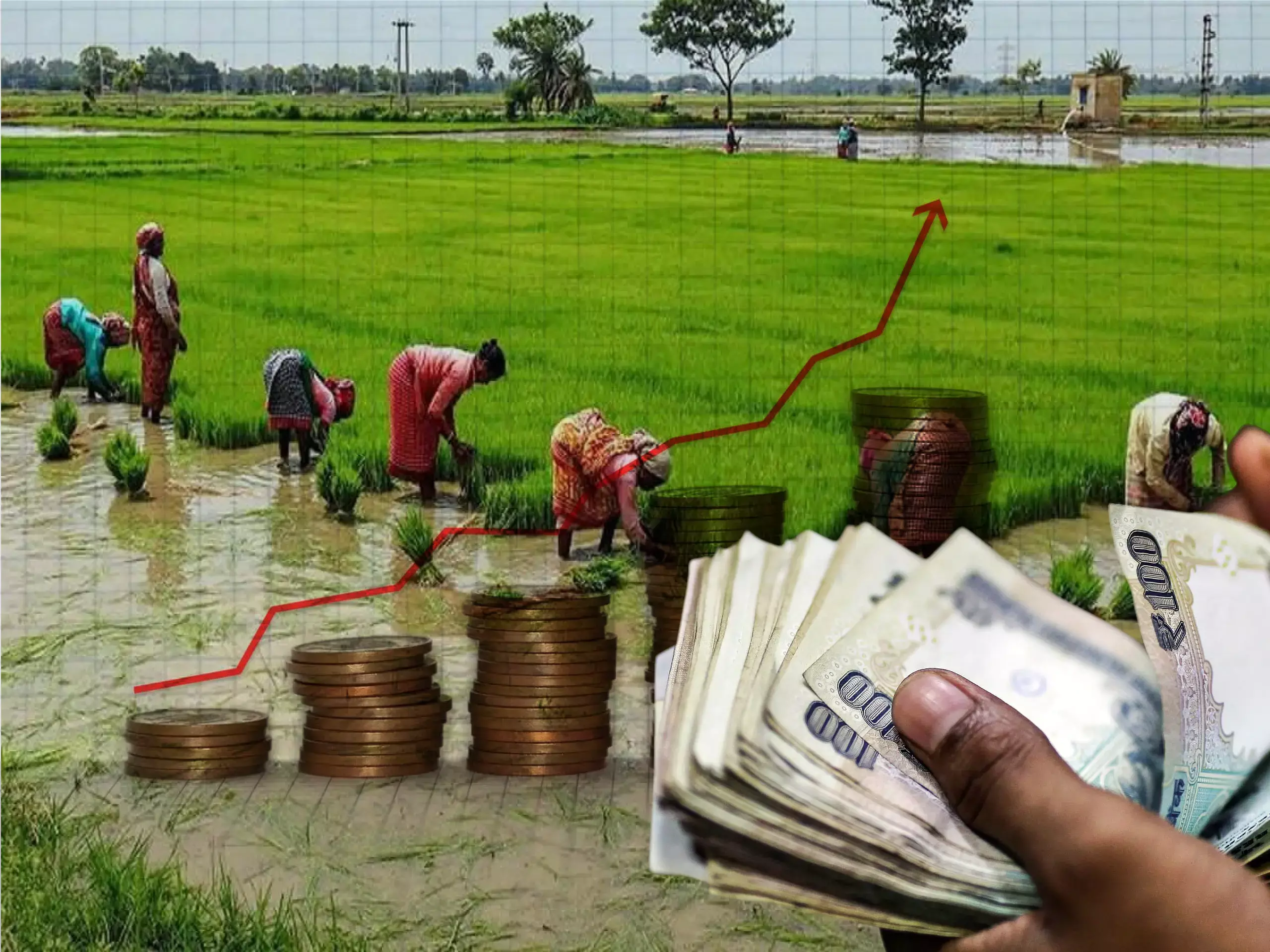 medicine prices raise-raise inflation in the agricultural sector