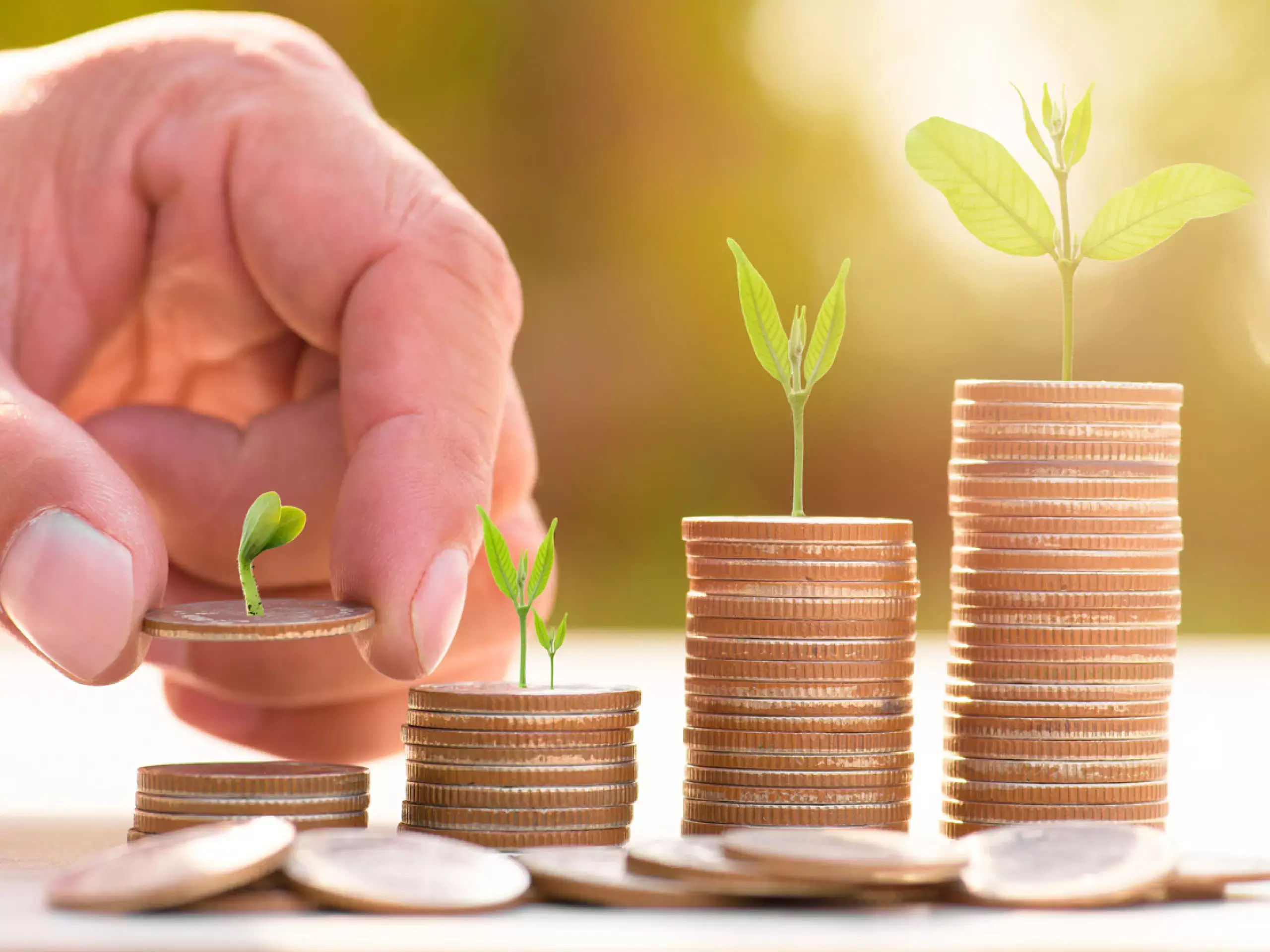 know nomination in mutual fund