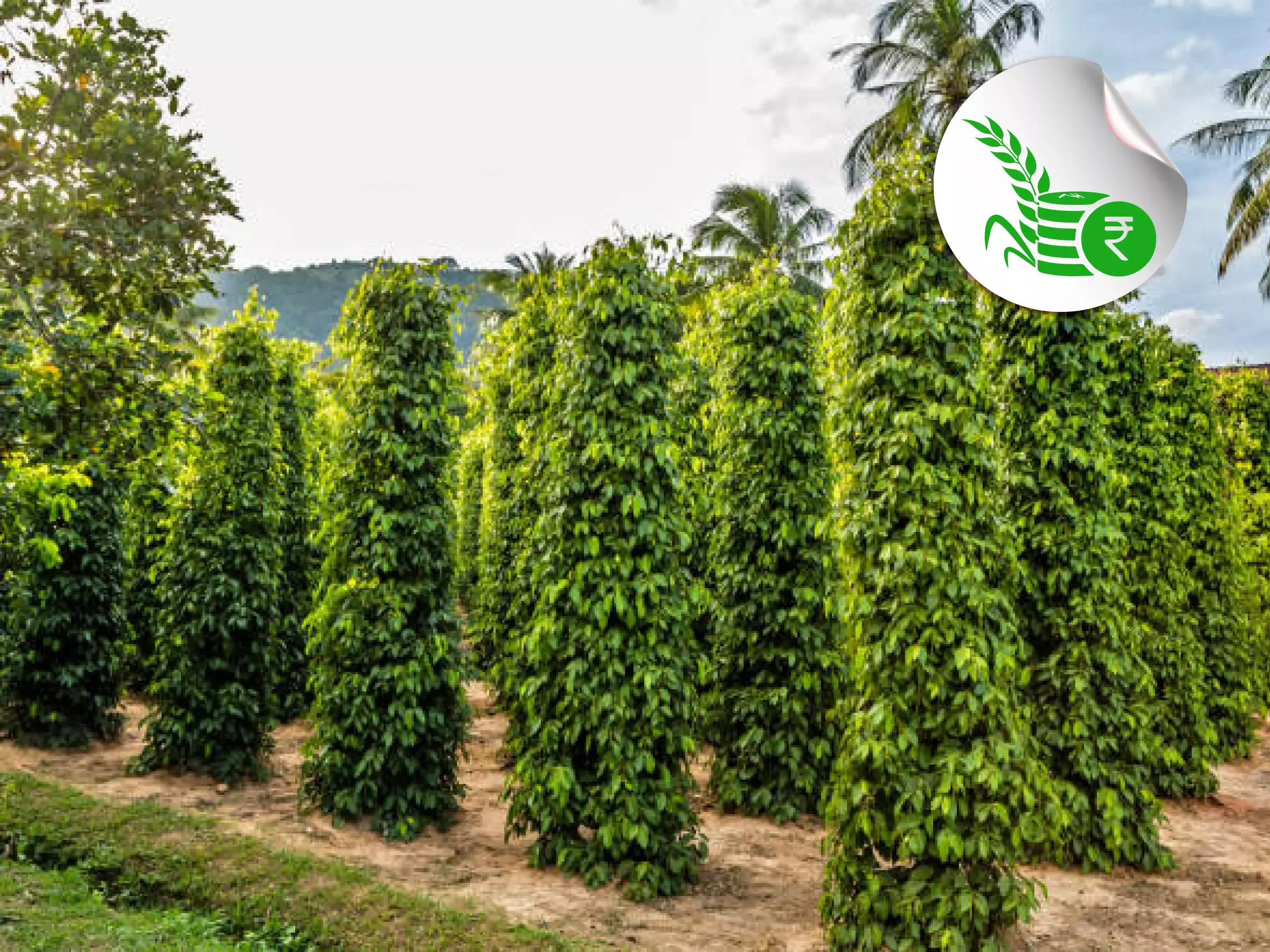 commodities market update 15 03