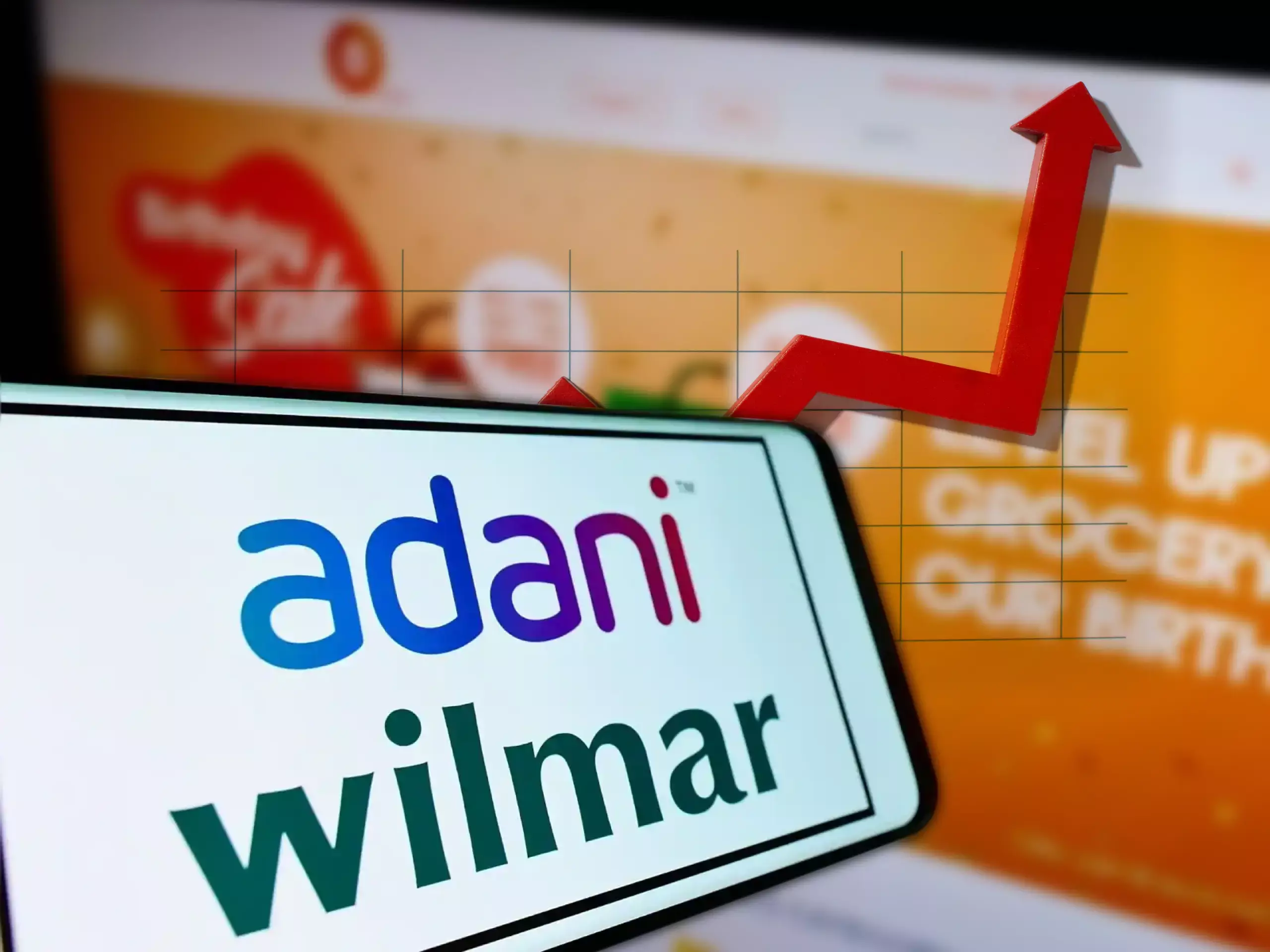 adani wilmars income