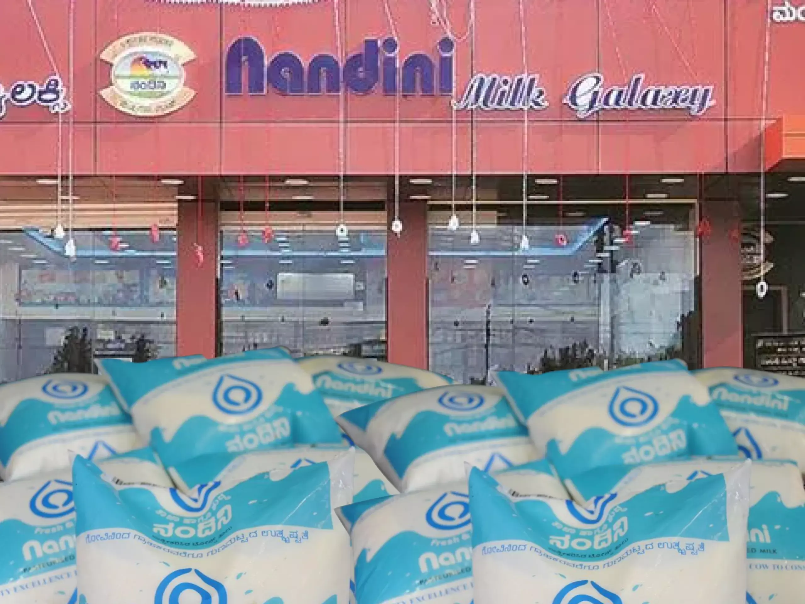 milk and other products under nandini brand