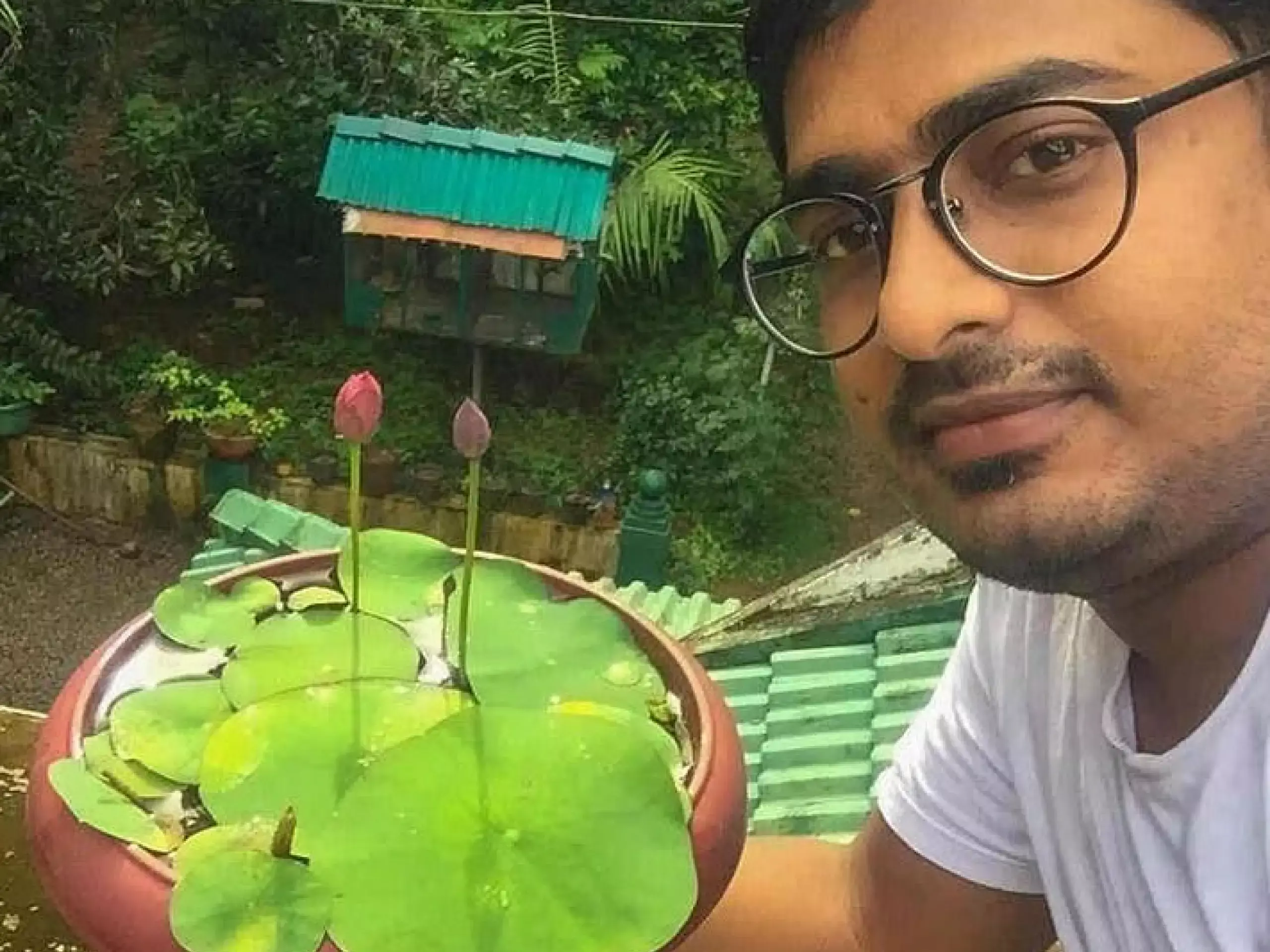 income from lotus cultivation