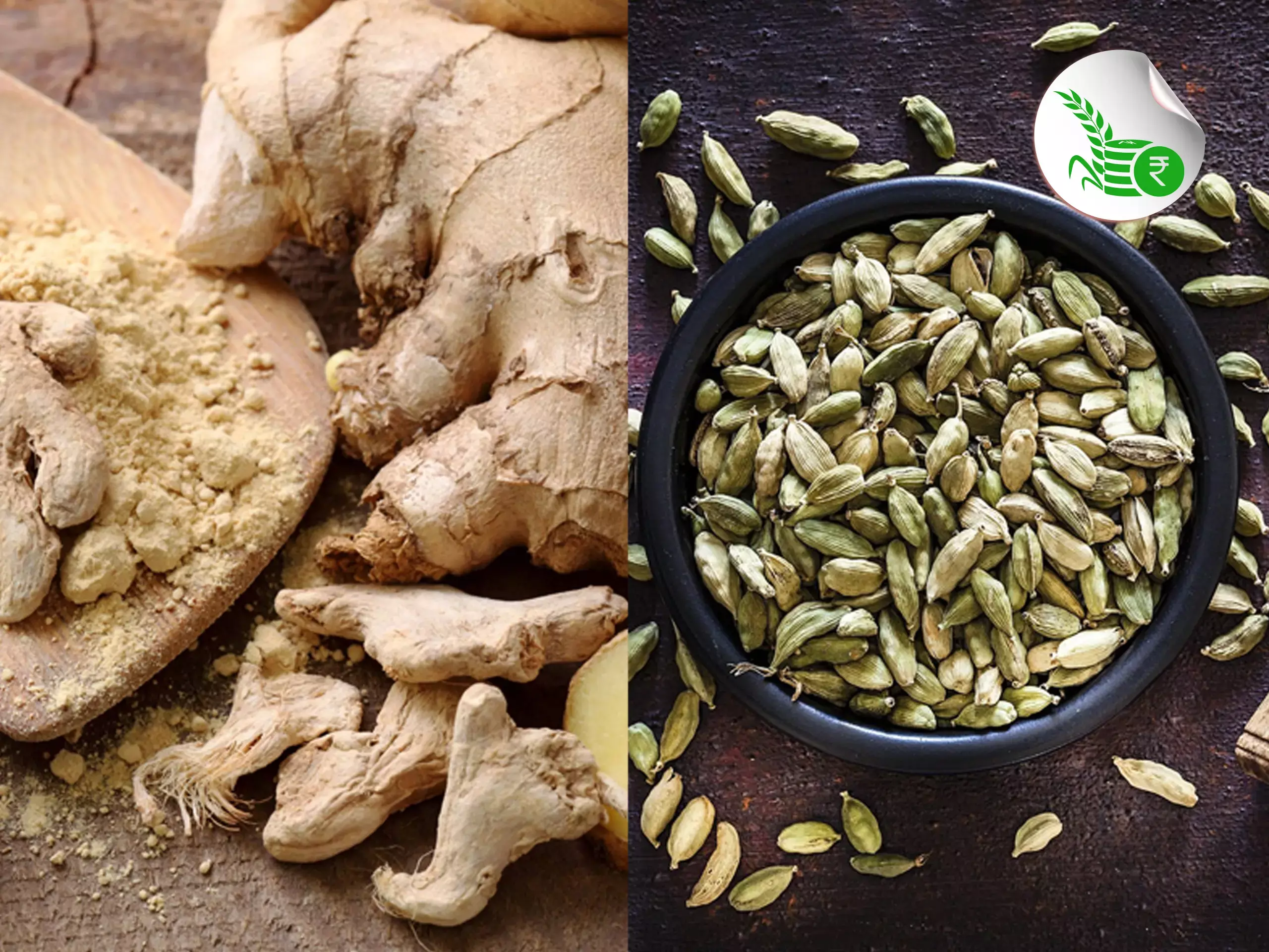 മലയിറങ്ങി ഏലം, ചുക്കാന്‍ പിടിക്കുന്ന ചുക്ക്