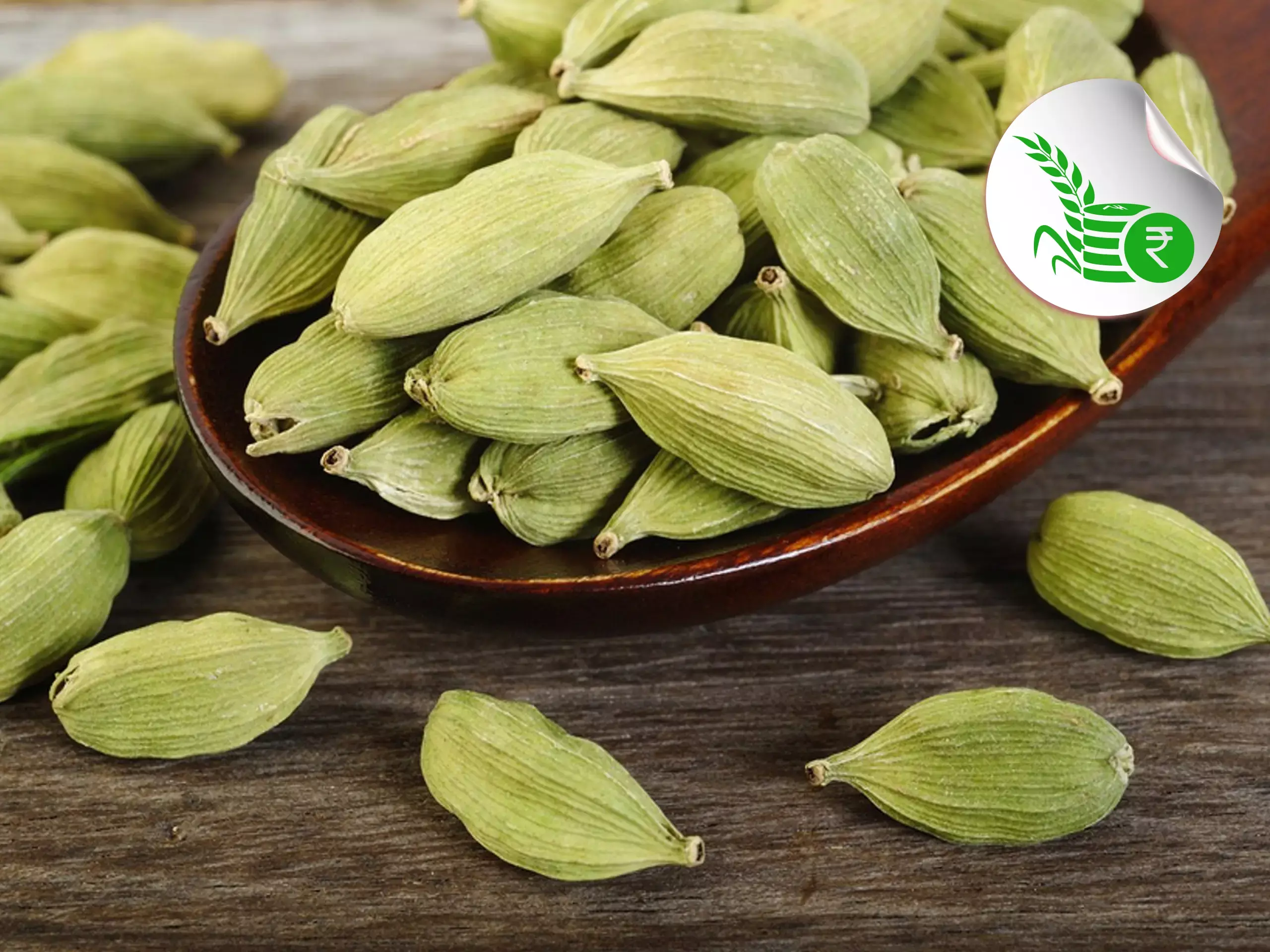 കാലവര്‍ഷം ദുര്‍ബലം; കളം പിടിച്ച് വിദേശ ഏലം