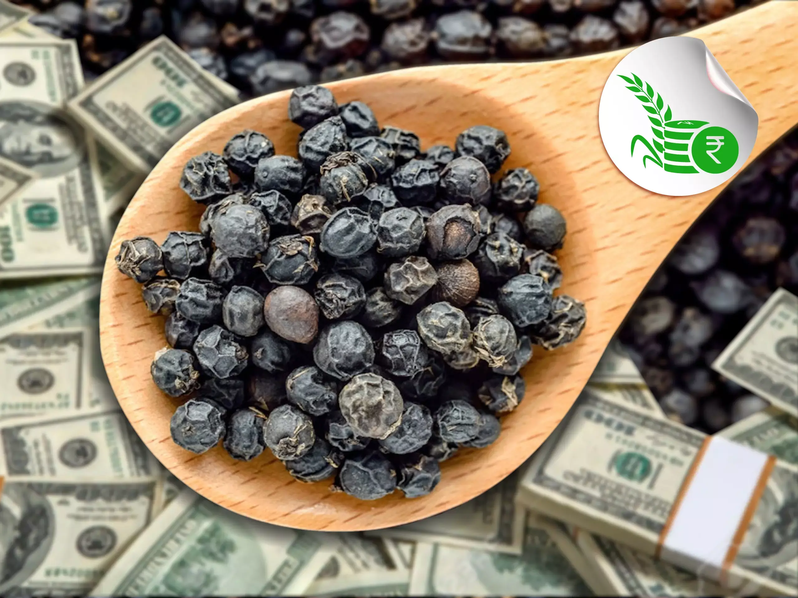 commodity market price 2504