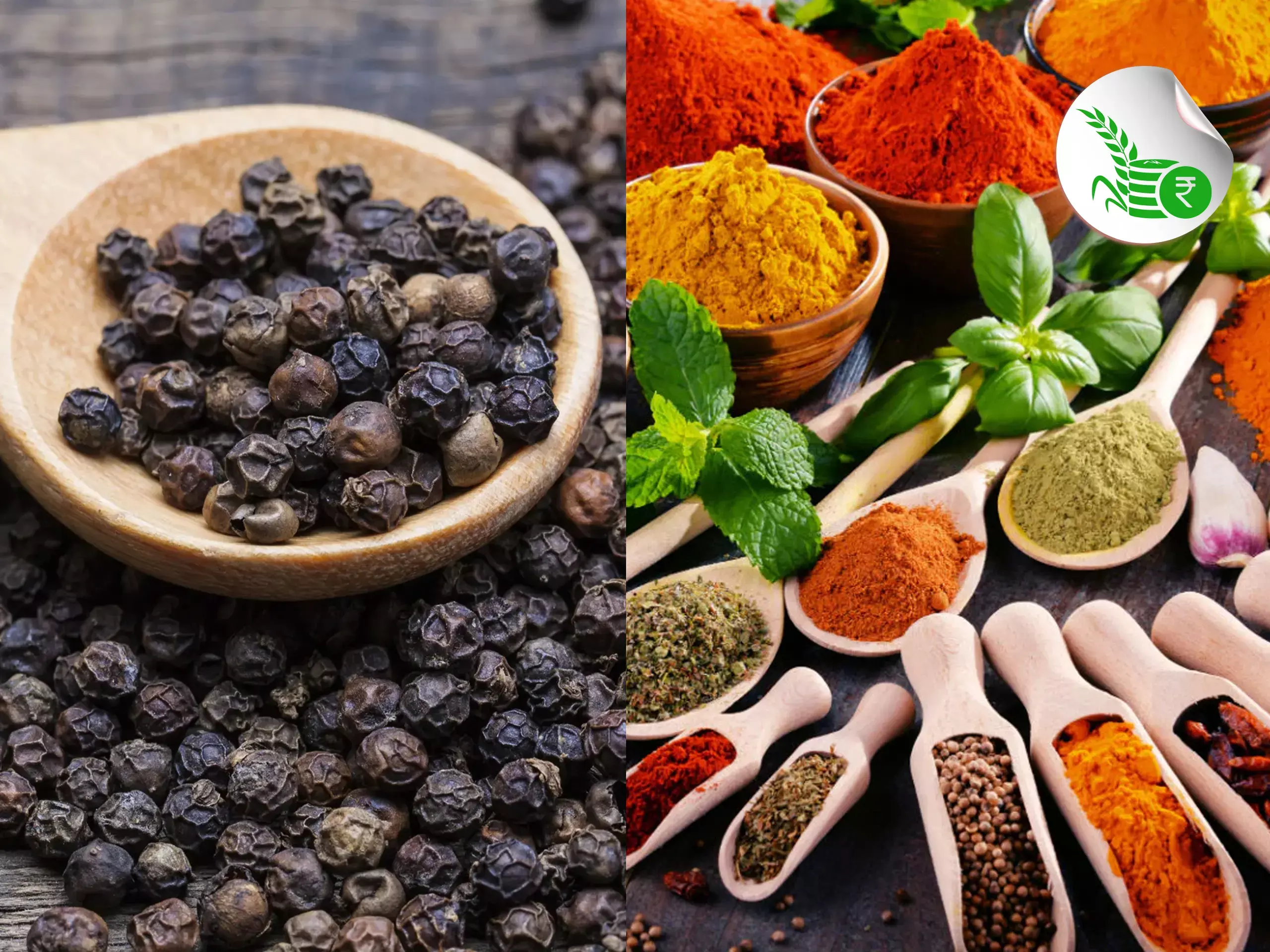 പടര്‍ന്നു പന്തലിച്ച് കുരുമുളക്, മണം പരത്തി കറിമസാലകള്‍