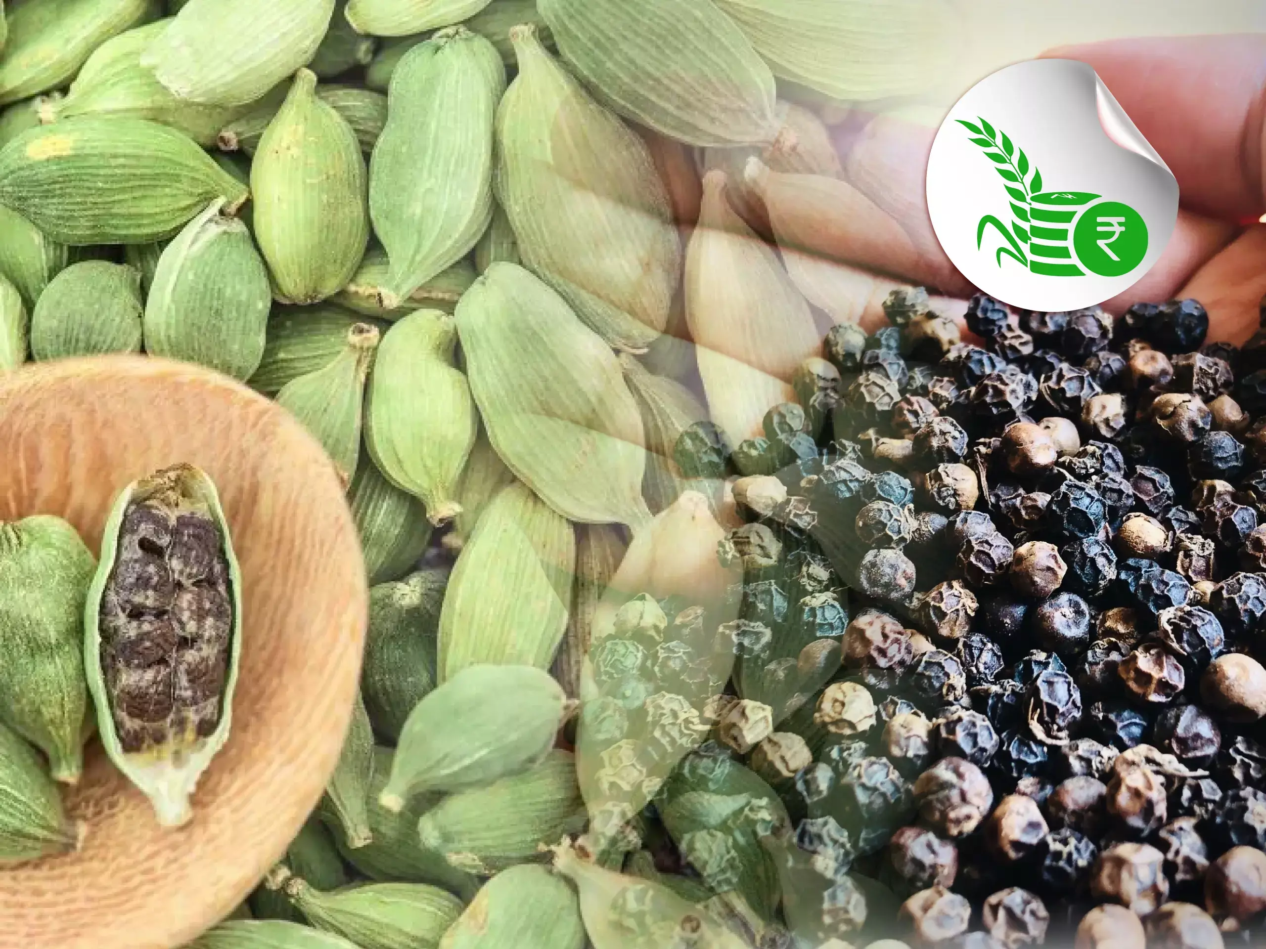 commodity market price update 0205