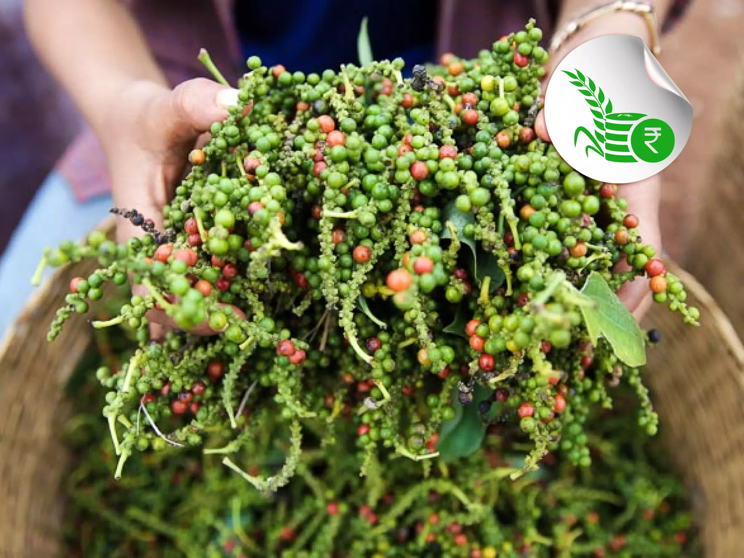 commodity market price update 0305