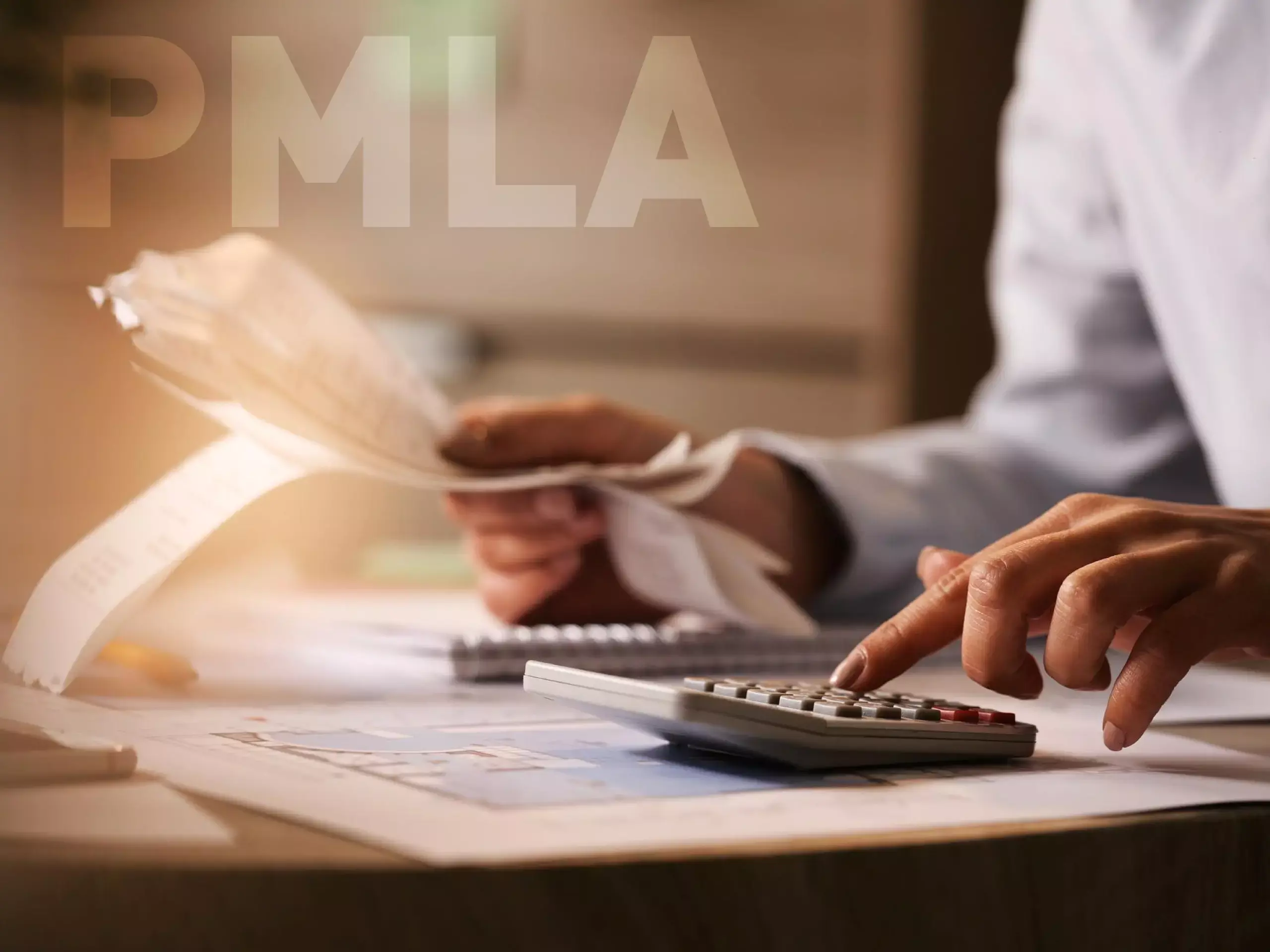 practicing accountant pmla