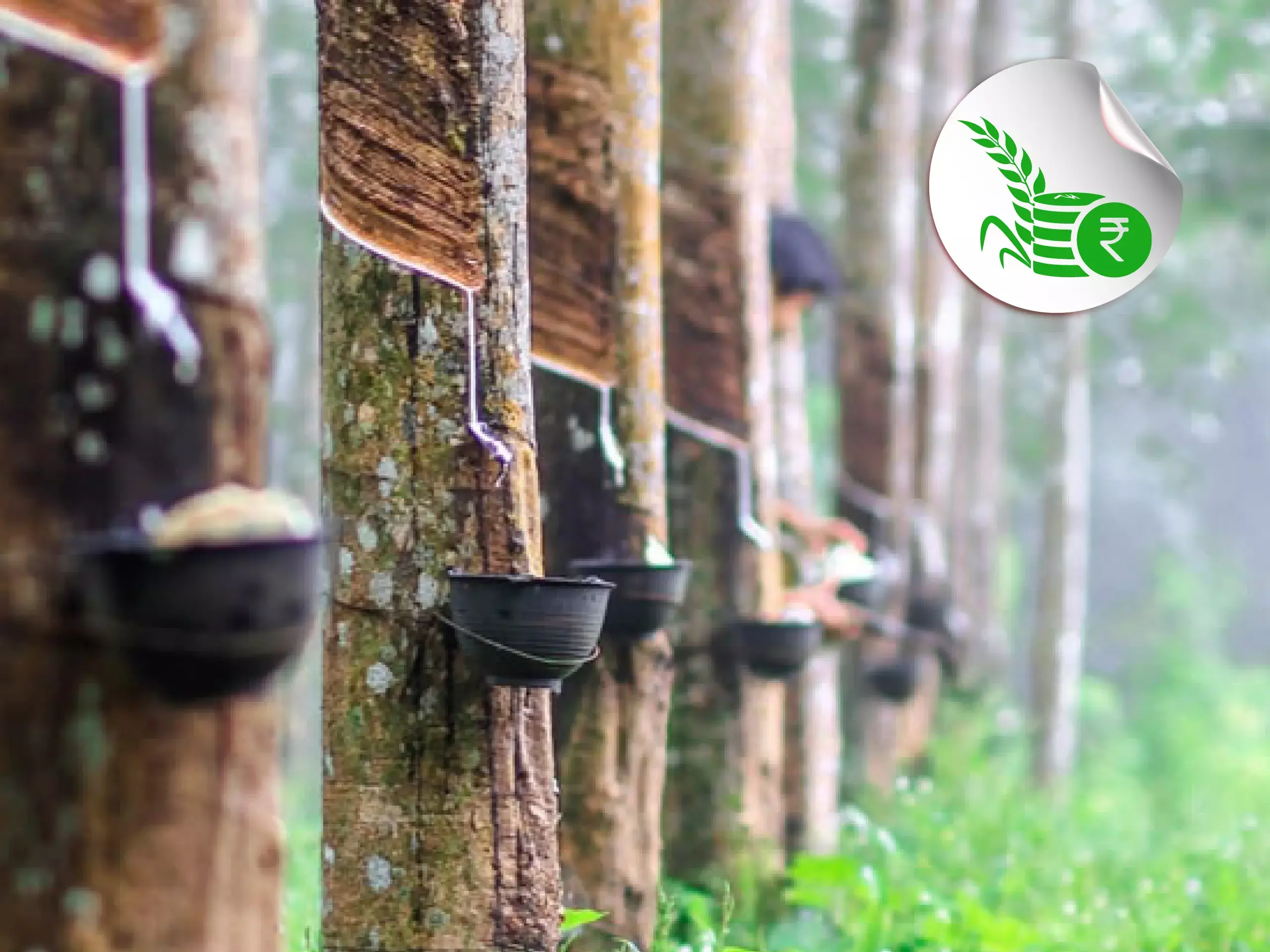 commodity market price update 05 05 commodity market price update 05 05