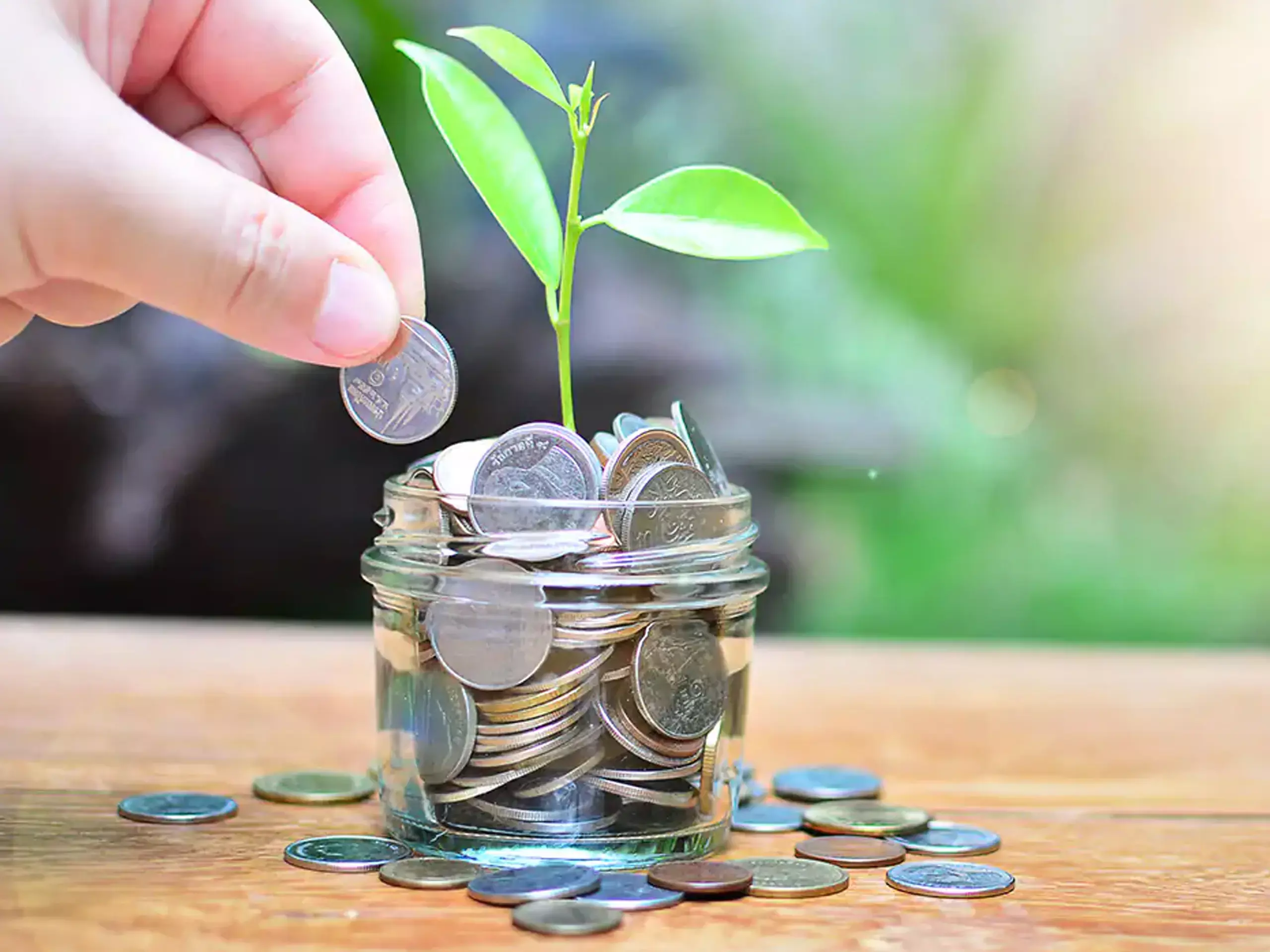 ഒരൊറ്റ വര്‍ഷം ; വലിയ റിട്ടേണ്‍ നല്‍കിയ ഫ്‌ളെക്‌സിക്യാപുകള്‍