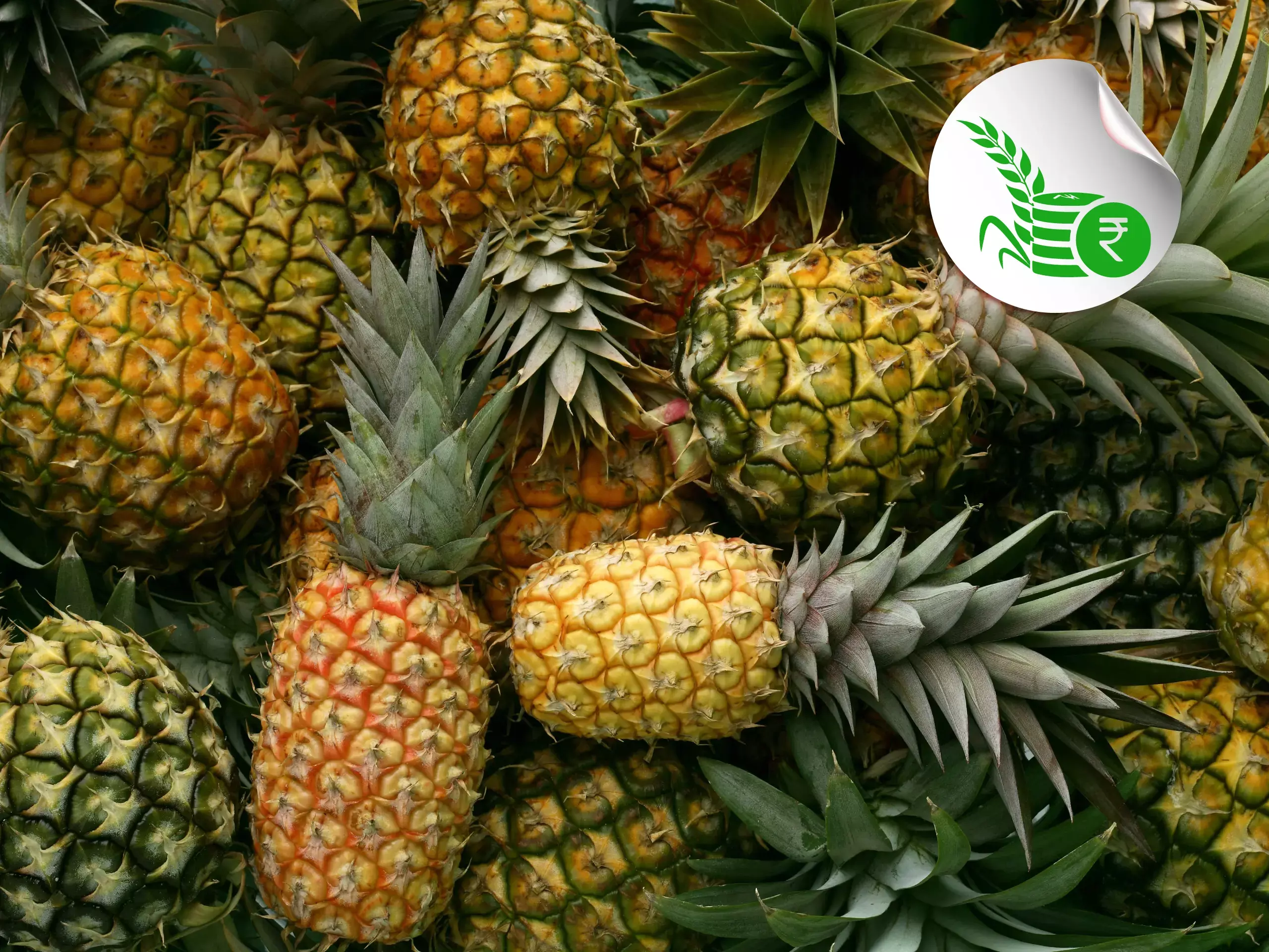 commodity market price update 10 05